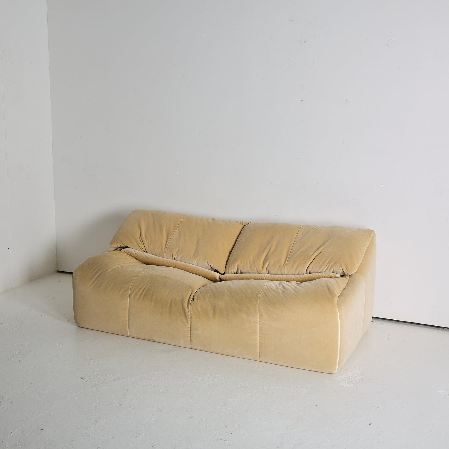 Chinese Cinna Ligne Roset Plumy Sofa