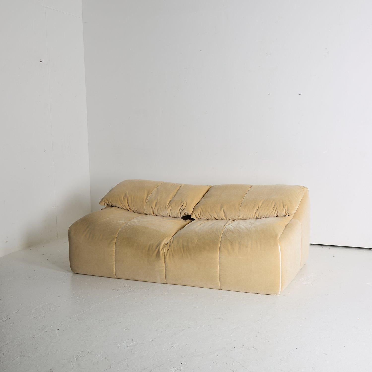 Upholstery Cinna Ligne Roset Plumy Sofa
