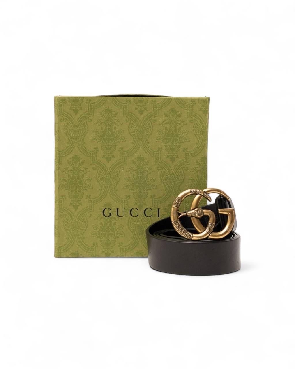 Cintura gucci snake clearance