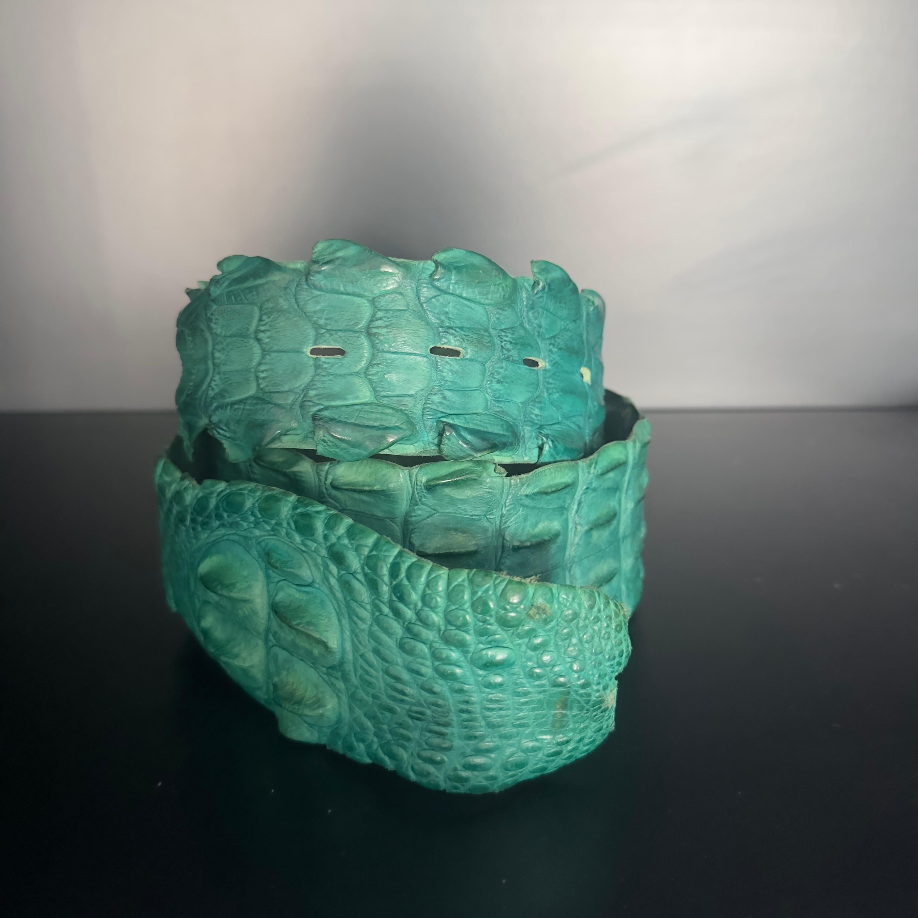 Blue Cintura Roberto cavalli con dust in ottime condizioni