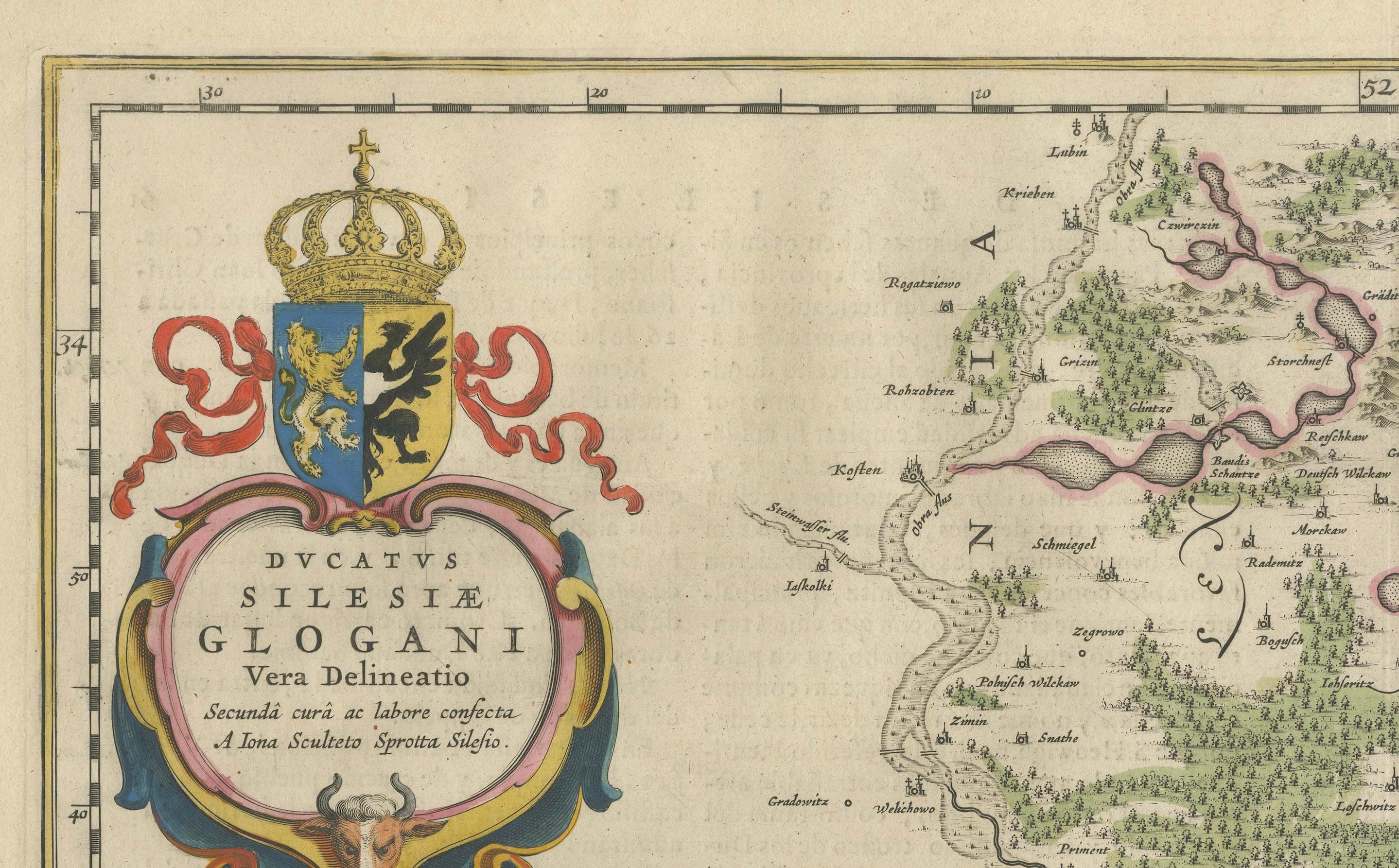 Circa 1659 Blaeu Family Map: Glogau and the Odra River Valley, Silesia In Good Condition For Sale In Langweer, NL