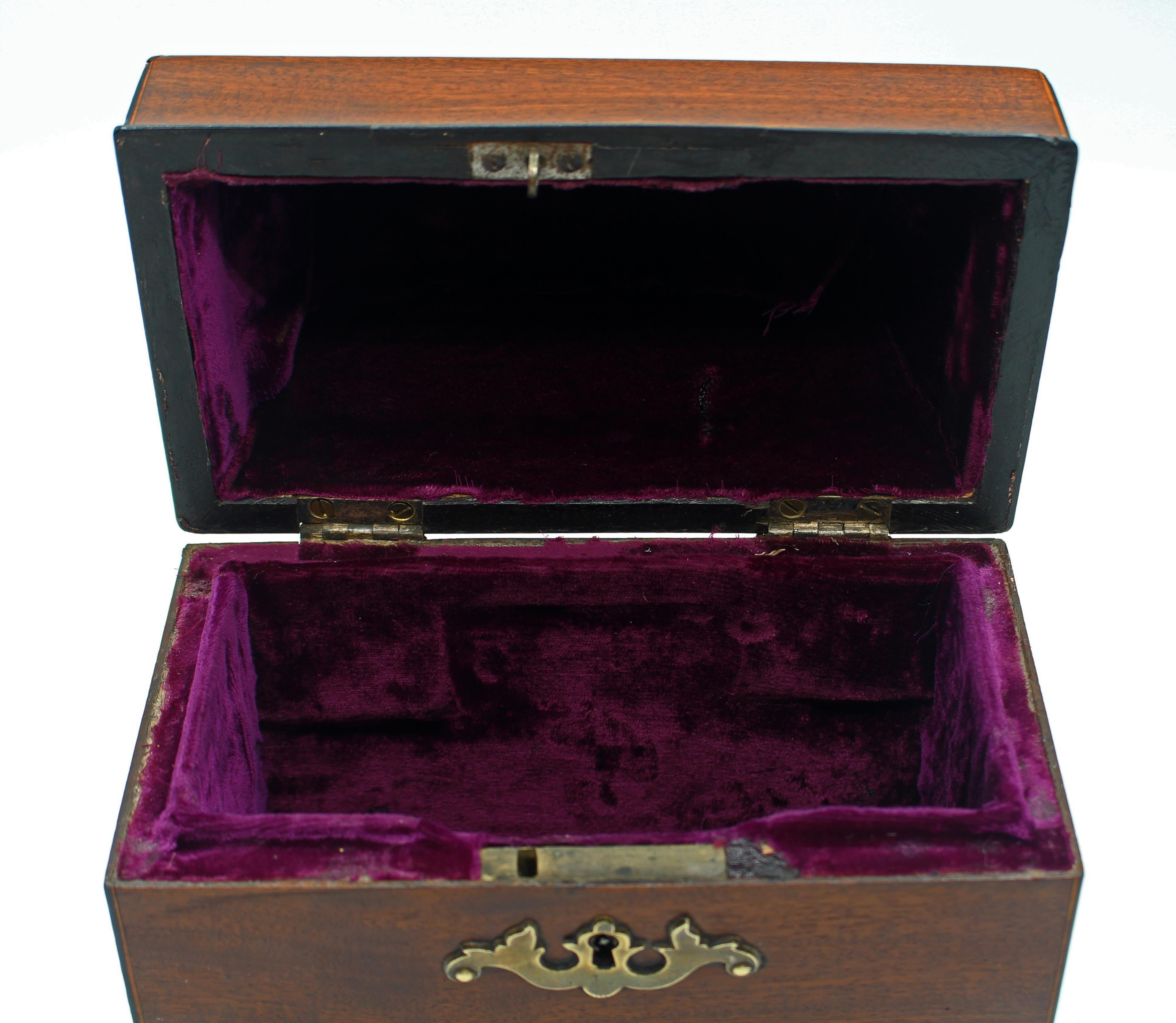 Boxwood Circa 1750 English Georgian High Dome-Top Tea Caddy