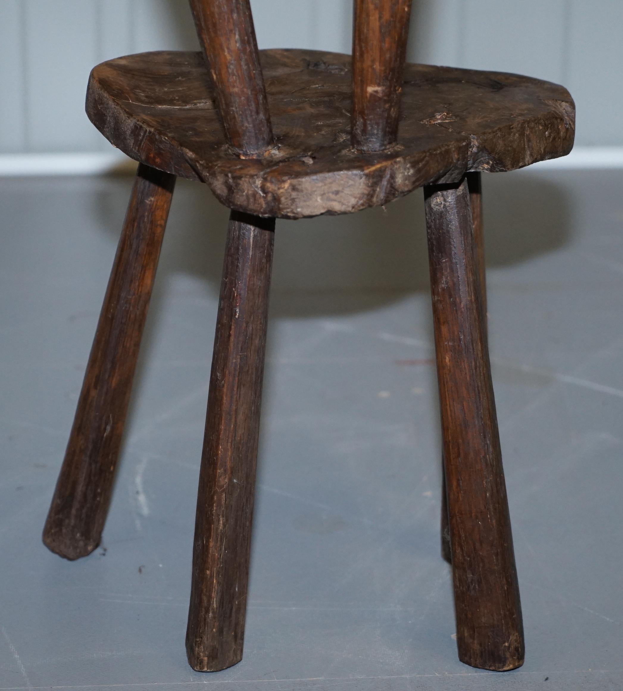 Burr Chestnut Hand Carved Primate French Milking or Children's Chair circa 1760 For Sale 7