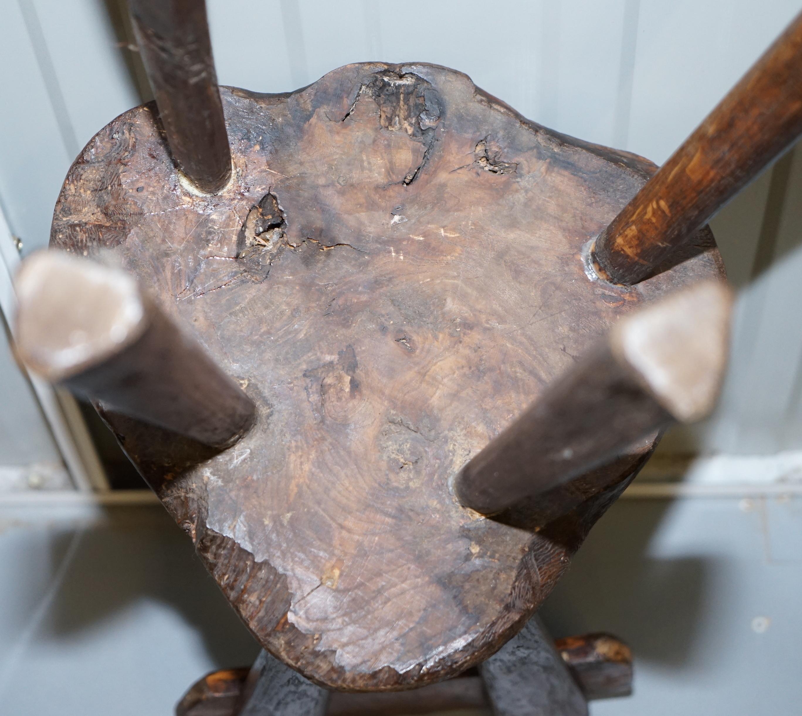 Burr Chestnut Hand Carved Primate French Milking or Children's Chair circa 1760 For Sale 12