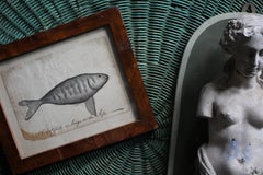 Circa 1780 Dibujo a pluma y tinta de marinero de un pez piloto Arte popular