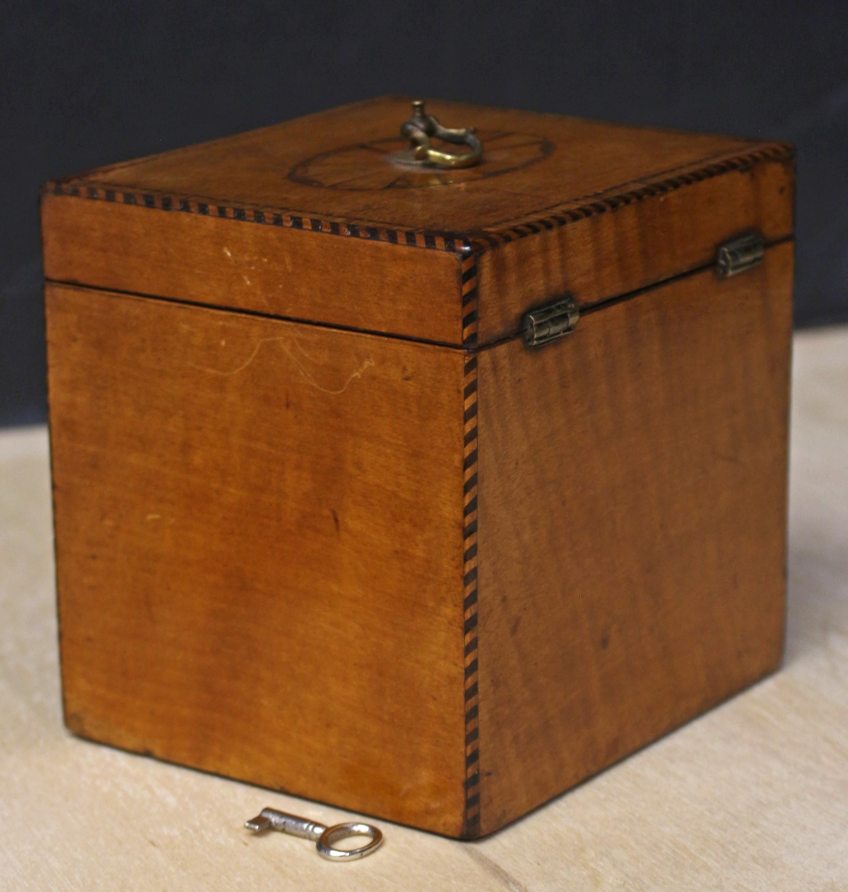 CIRCA 1790 Englisch George III Intarsien Einzel Tee Caddy Box im Zustand „Gut“ im Angebot in Chapel Hill, NC