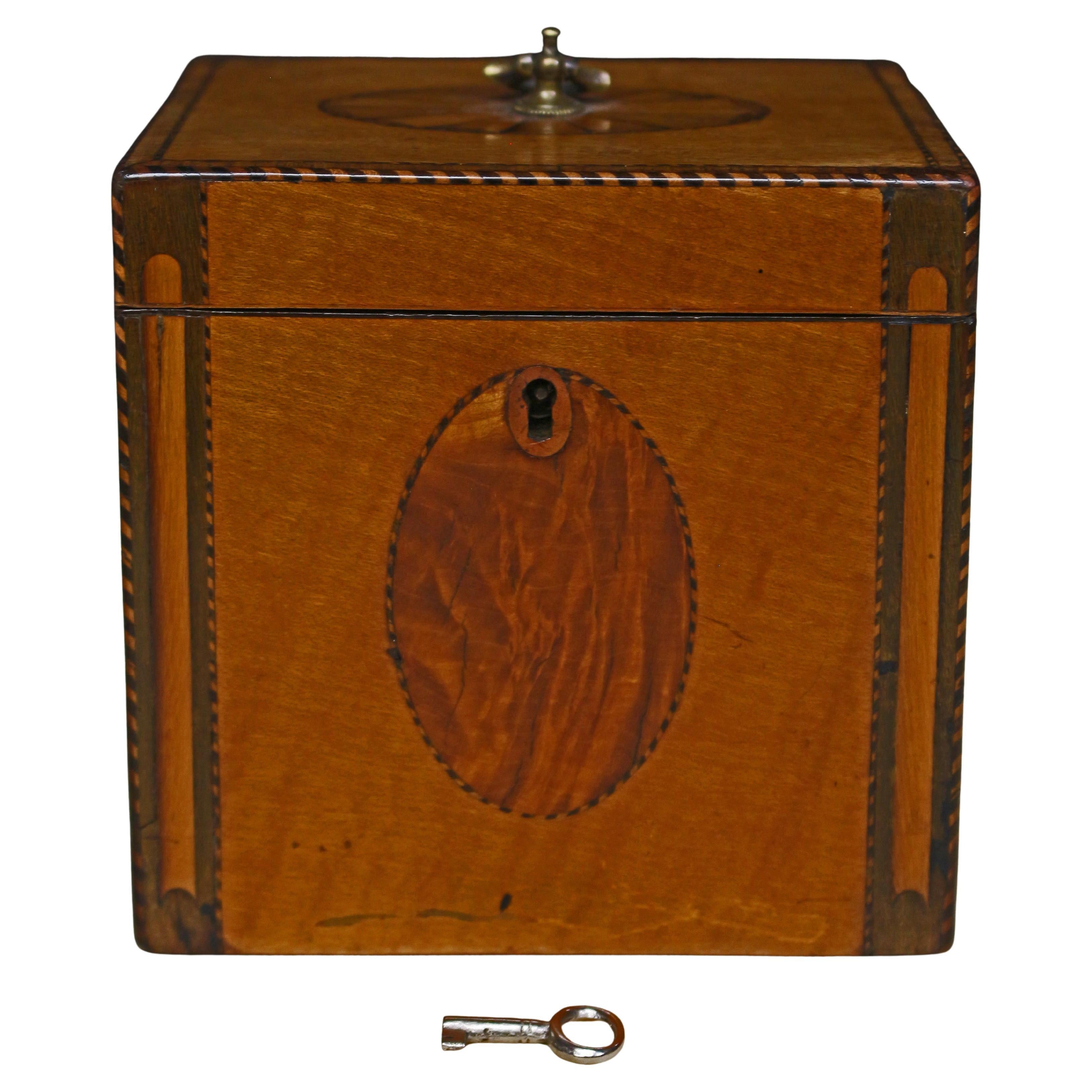 Circa 1790 Anglais George III Inlaid Single Tea Caddy Box