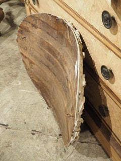 Circa 1790 Painted and Outcurved Oval Bas Relief Panel from Austria