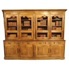 Antique Circa 1800 Carved Oak and Wire Paneled Double Bibliothèque from Southwest France