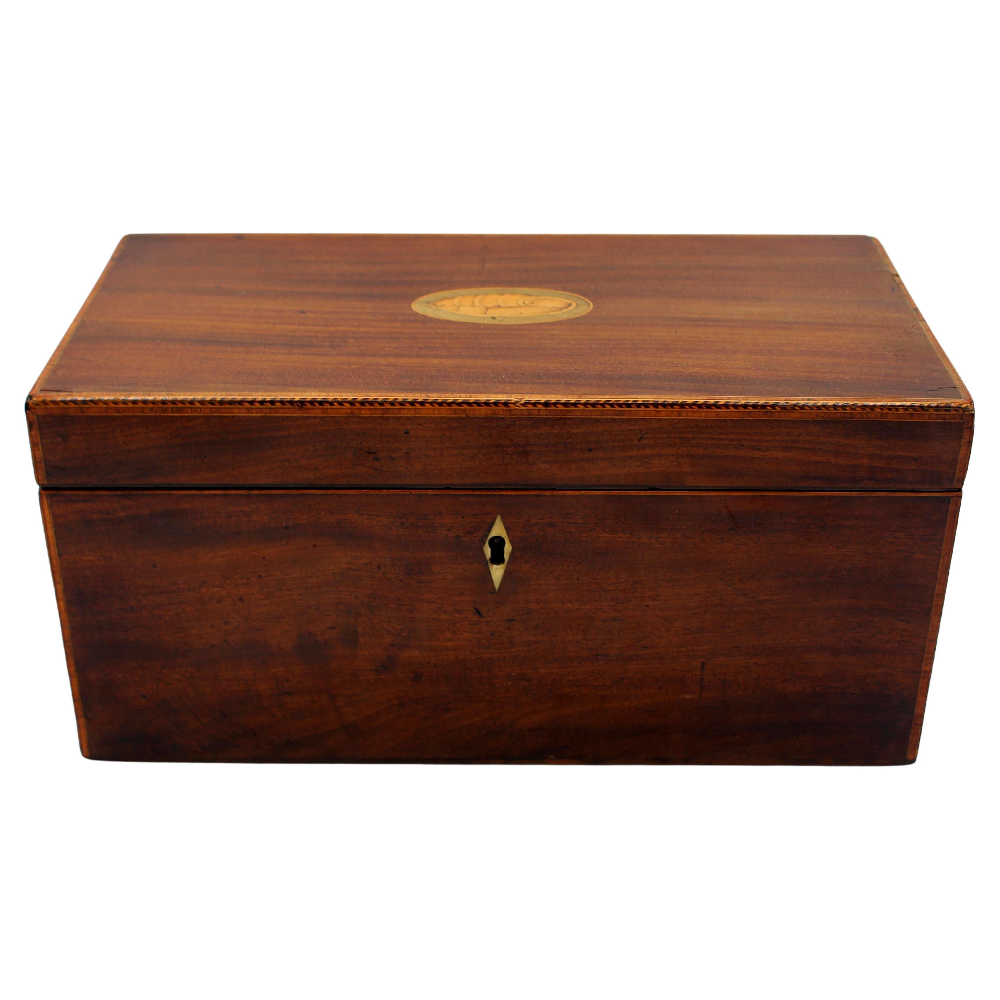 Caja de té inglesa Jorge III, circa 1800