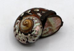 Circa 1800s Polished Snail Shell Snuff Box