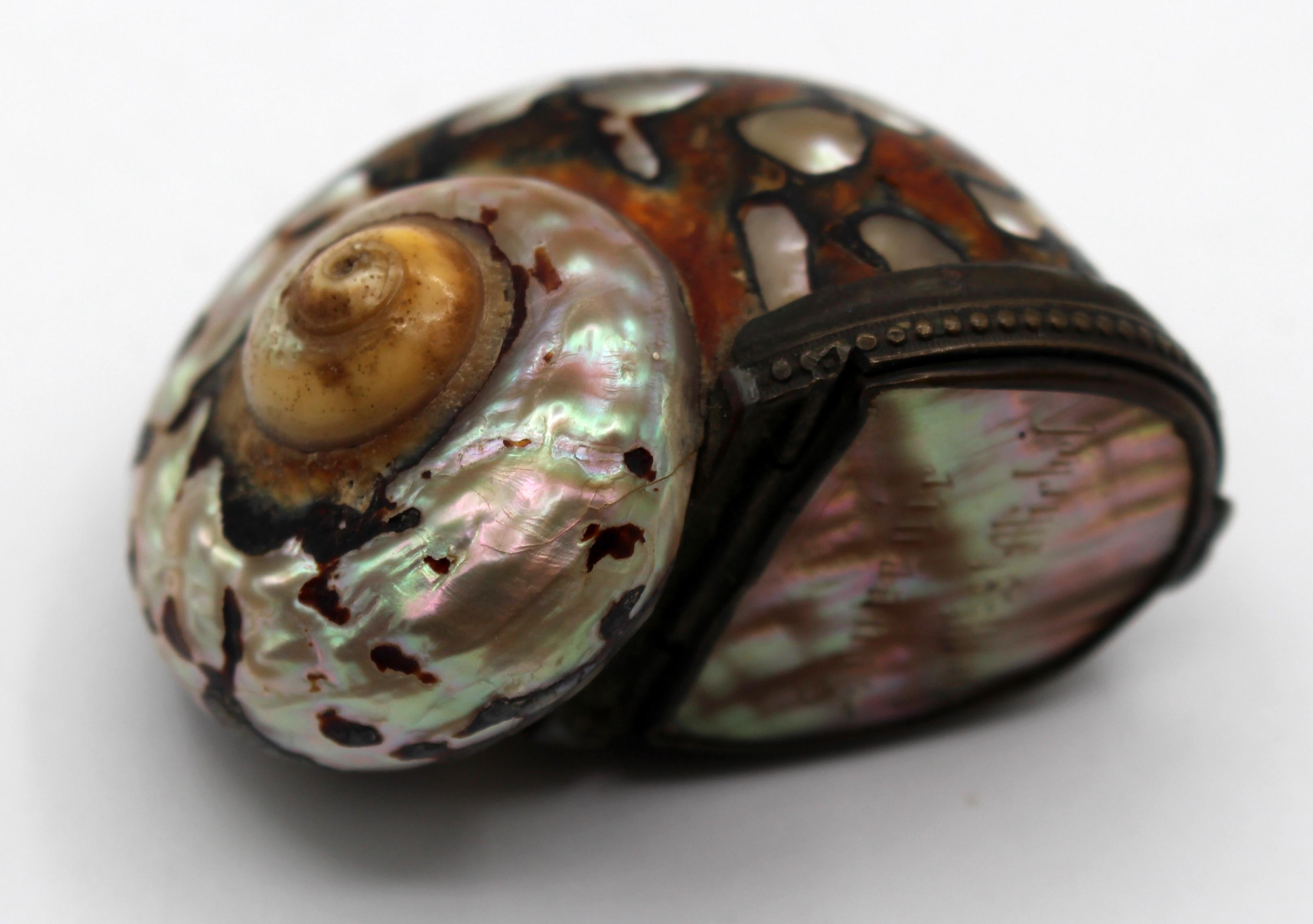 circa 1800s Polished Snail Shell Snuff Box In Good Condition In Chapel Hill, NC