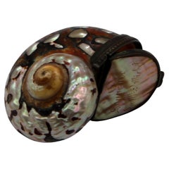 Antique circa 1800s Polished Snail Shell Snuff Box