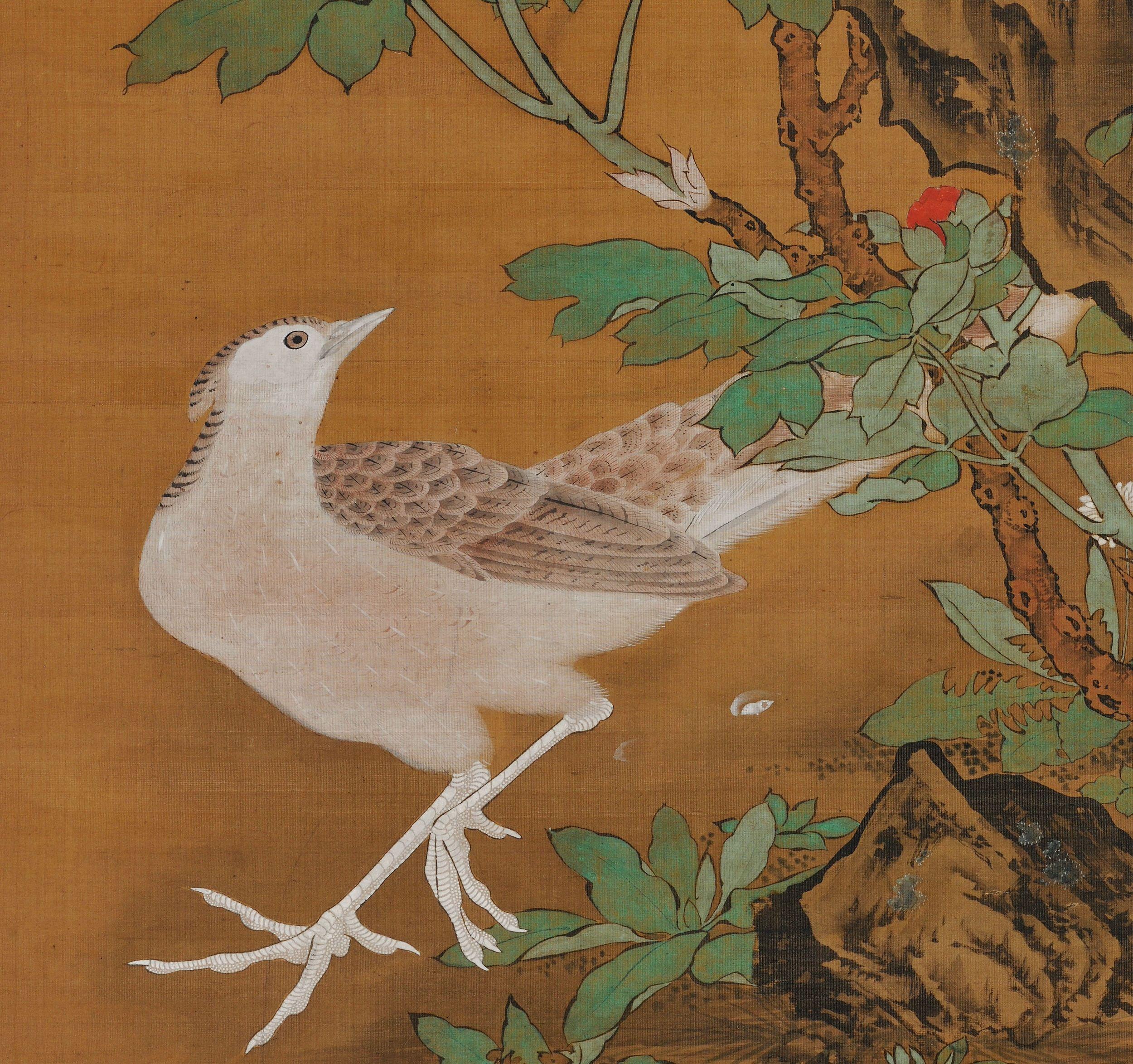 Edo Japanese Flower and Bird Scroll Painting by Kano Tanshin Morimichi, circa 1815