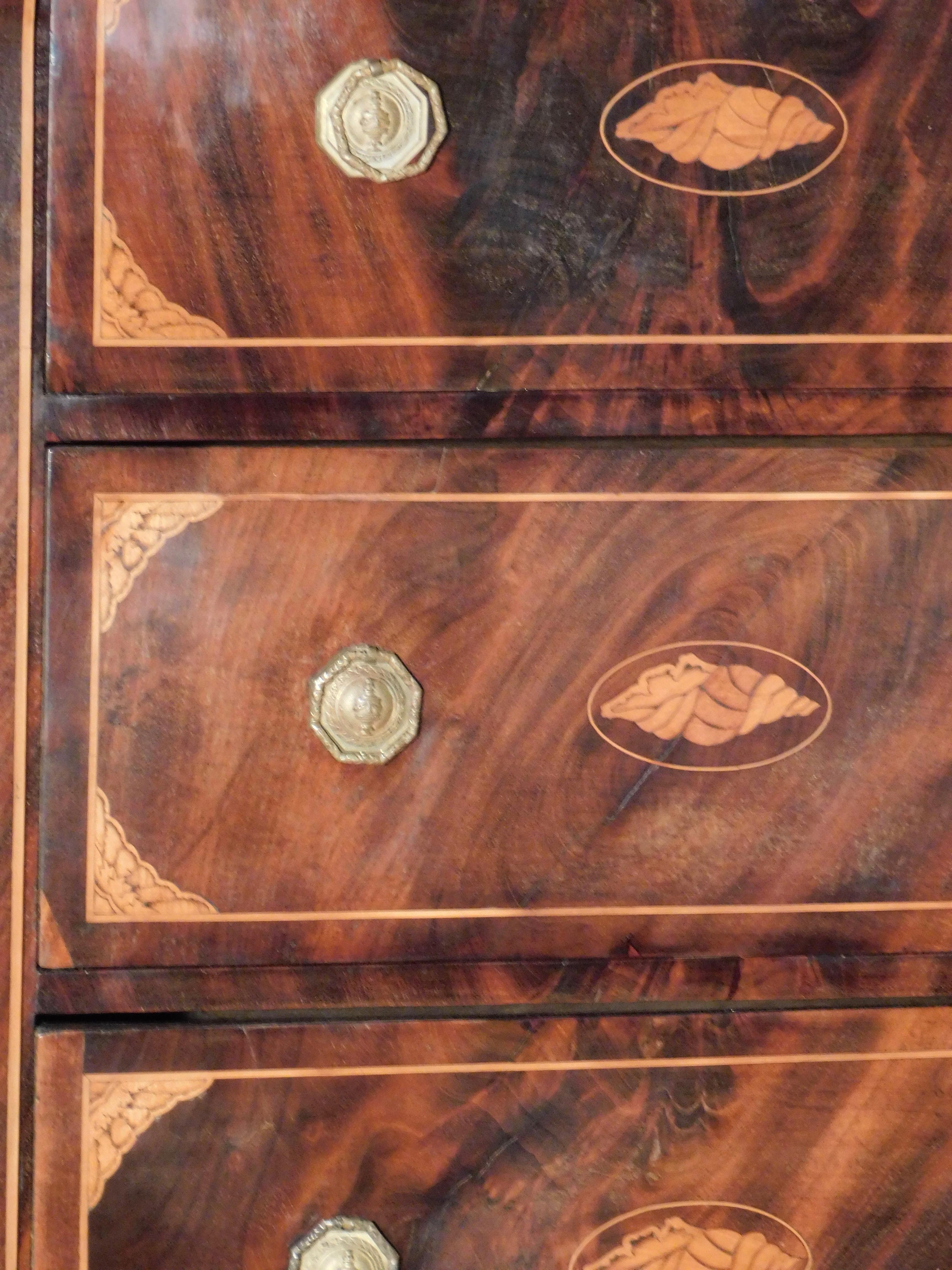 Dutch High Boy Chest of Drawers with Marquetry Inlaid Shell Designs, circa 1820 For Sale 4