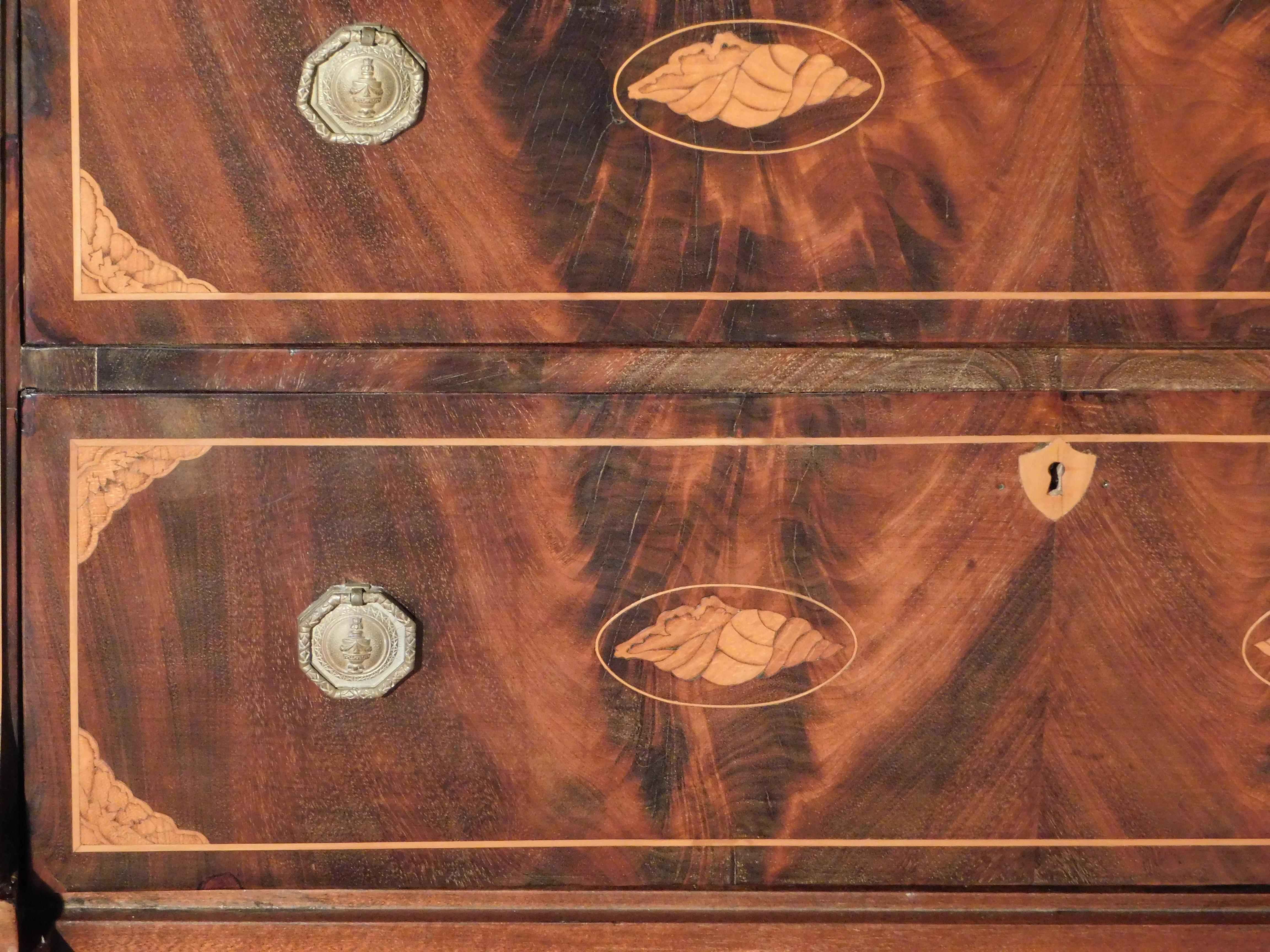 Dutch High Boy Chest of Drawers with Marquetry Inlaid Shell Designs, circa 1820 For Sale 6