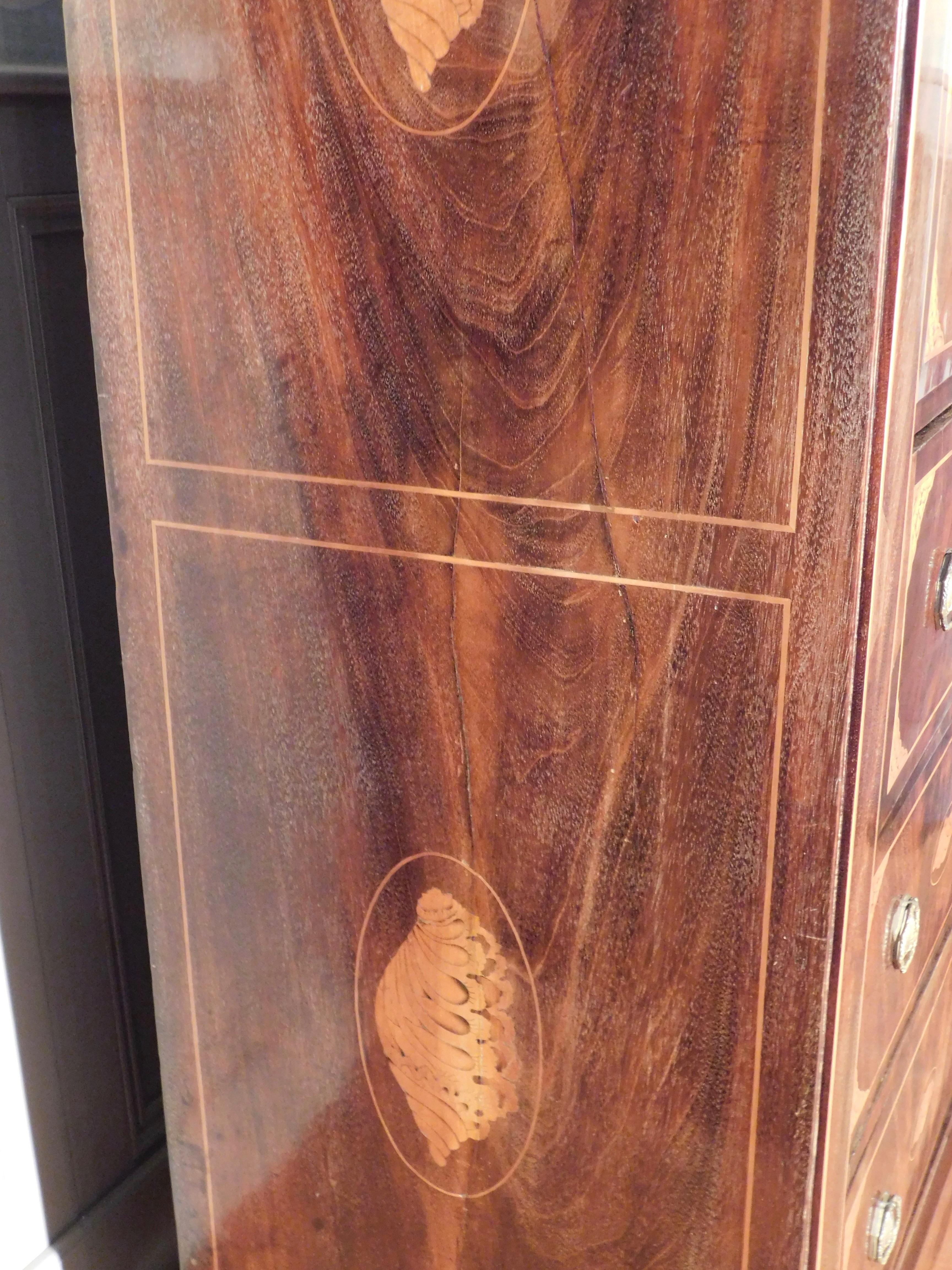 Dutch High Boy Chest of Drawers with Marquetry Inlaid Shell Designs, circa 1820 For Sale 10