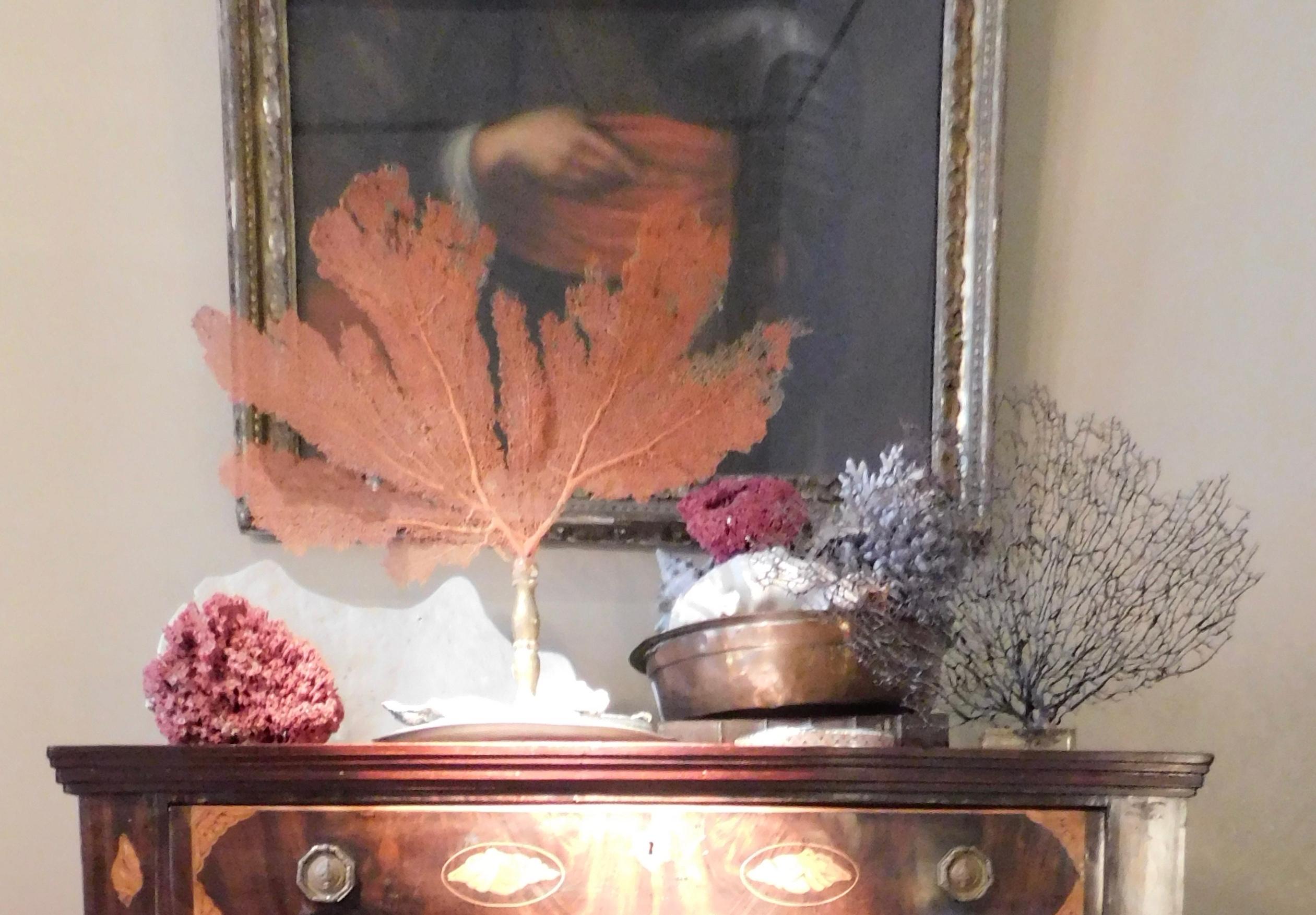 Dutch High Boy Chest of Drawers with Marquetry Inlaid Shell Designs, circa 1820 For Sale 13