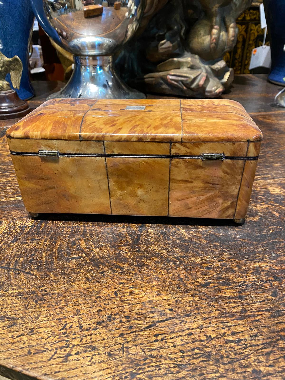 Regency Tortoise Shell Tea Caddy with Sterling Silver and Velvet, circa 1820 9