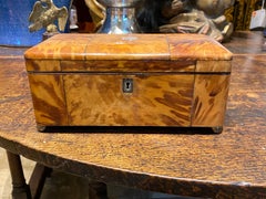 Regency Tortoise Shell Tea Caddy with Sterling Silver and Velvet, circa 1820