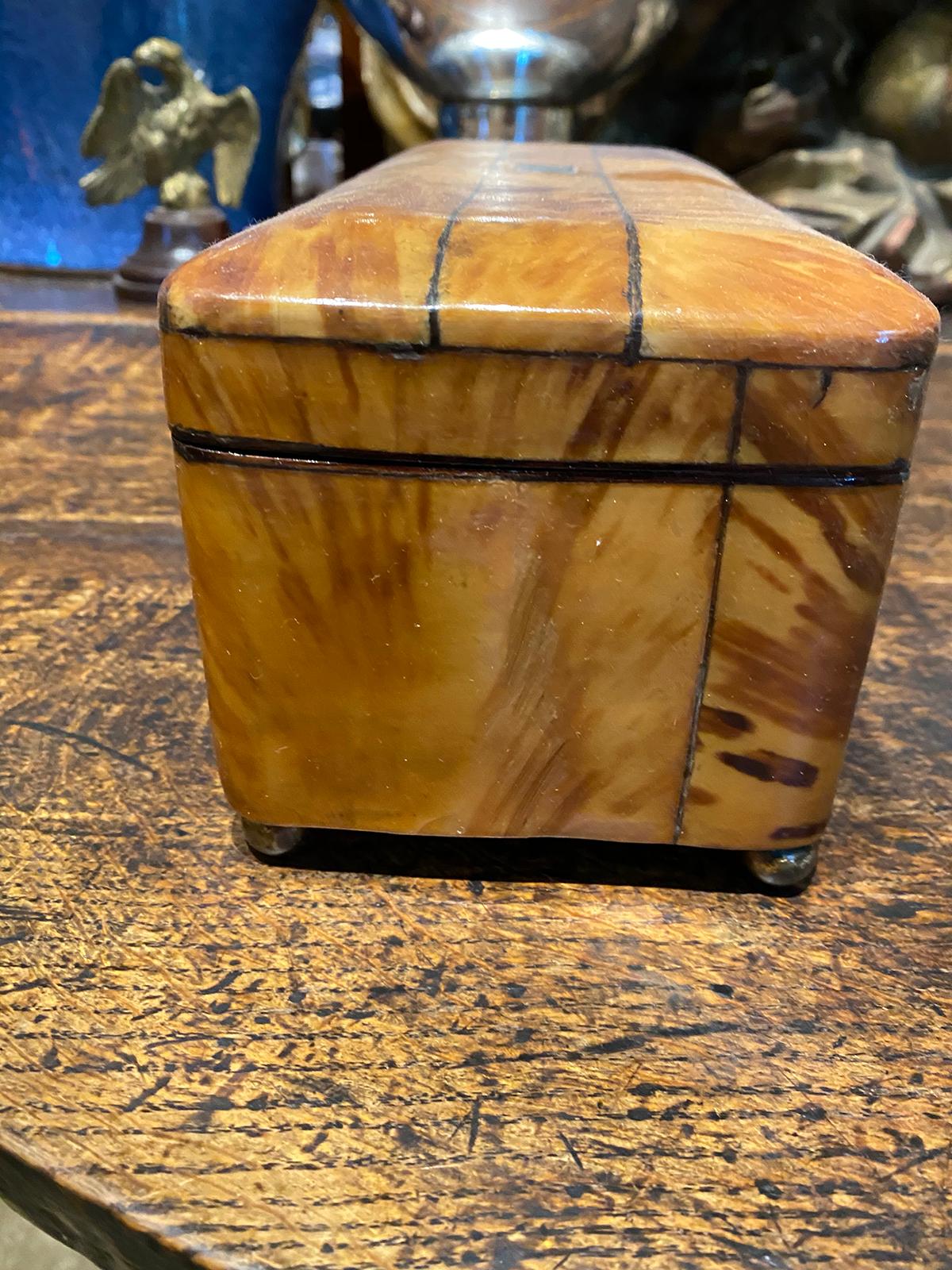 Regency Tortoise Shell Tea Caddy with Sterling Silver and Velvet, circa 1820 1