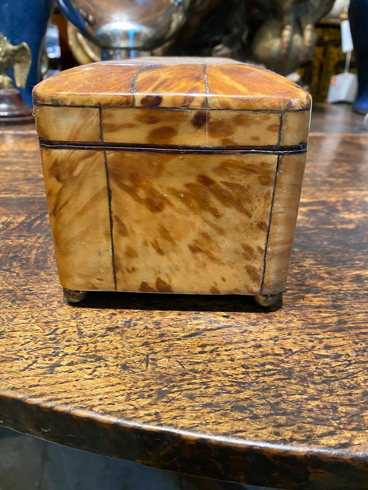 Regency Tortoise Shell Tea Caddy with Sterling Silver and Velvet, circa 1820 2