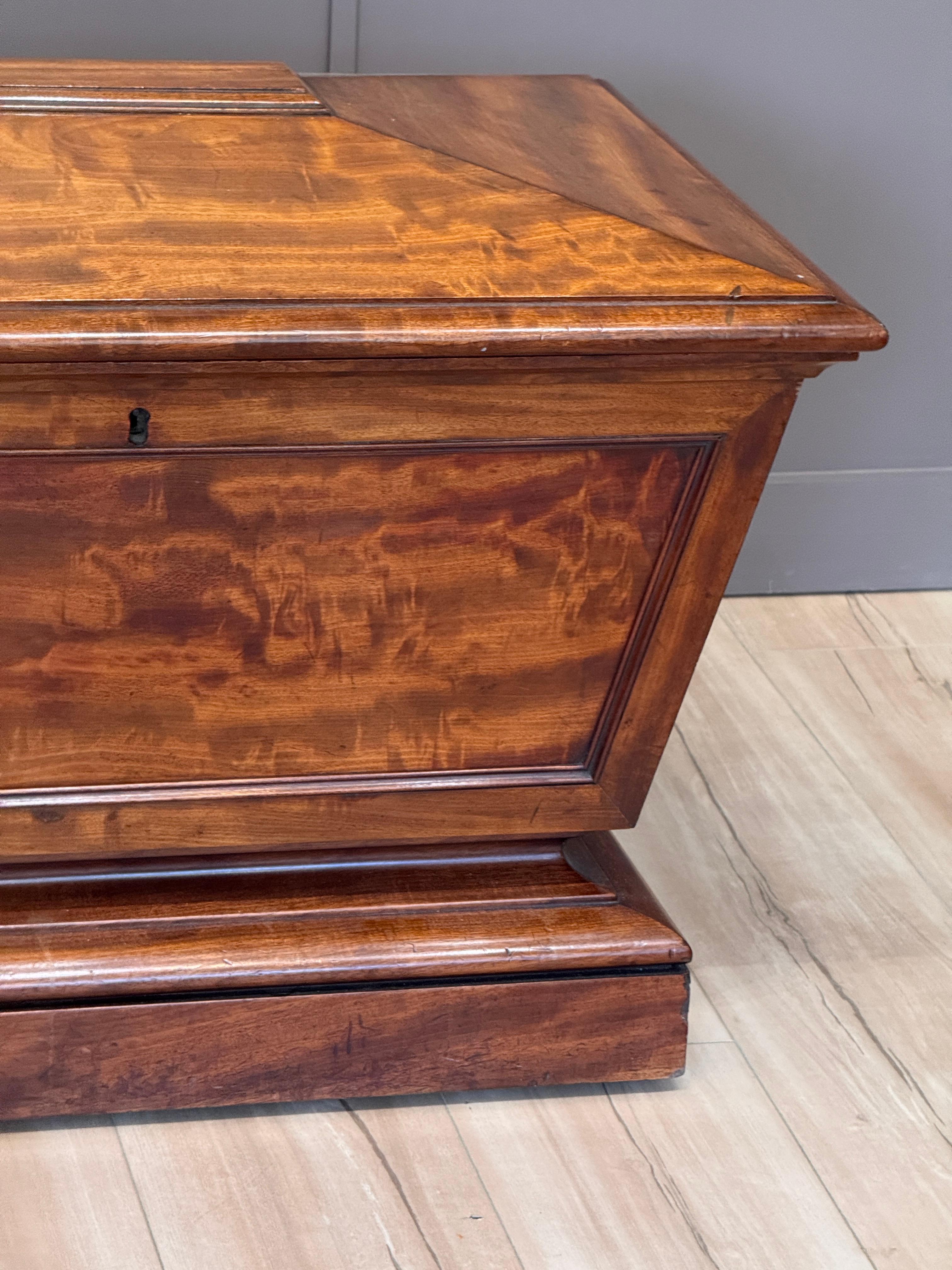 British Circa 1830 English Regency Sarcophagus-Form Cellarette For Sale