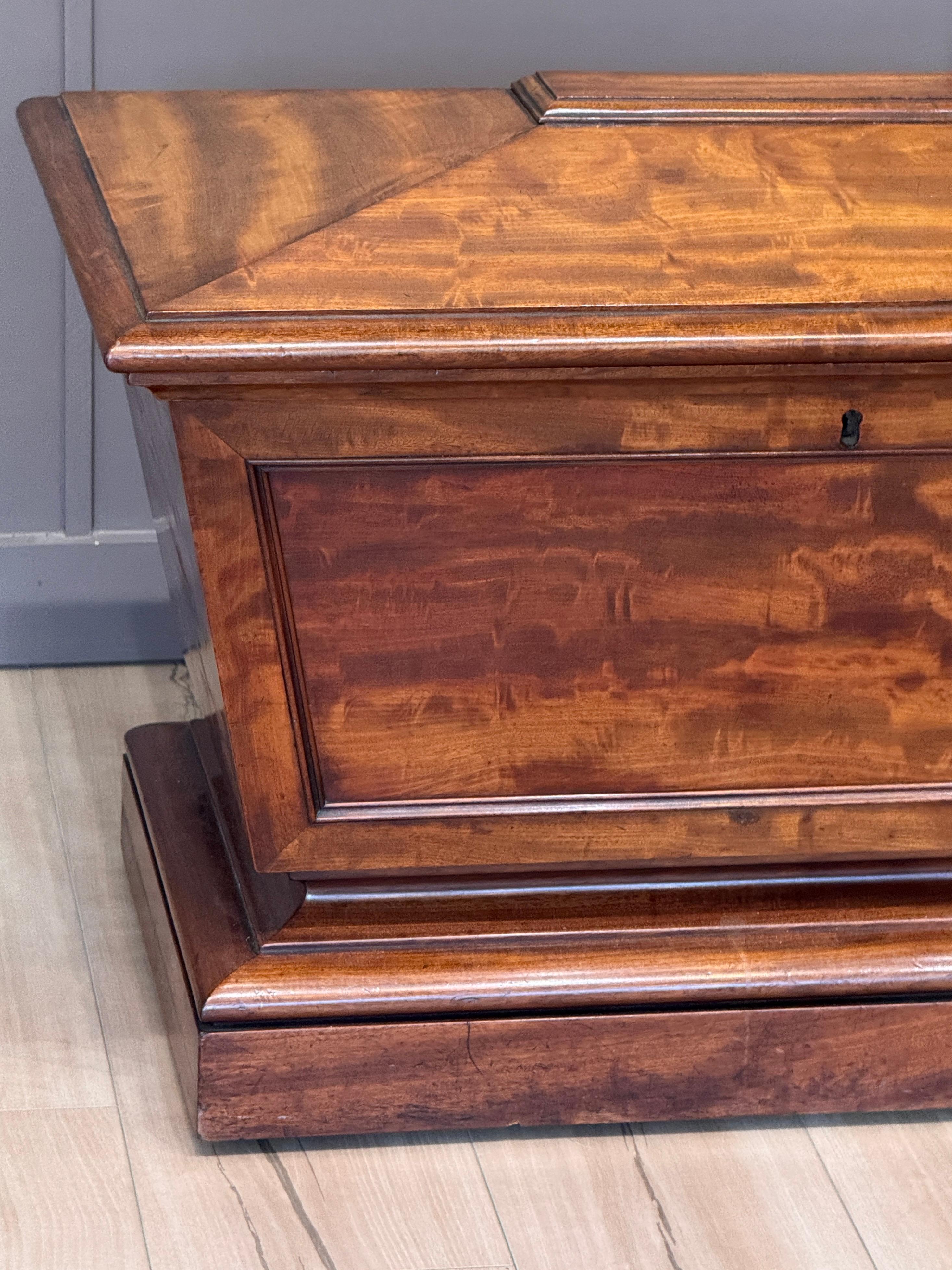 Circa 1830 English Regency Sarcophagus-Form Cellarette In Good Condition For Sale In Charlottesville, VA