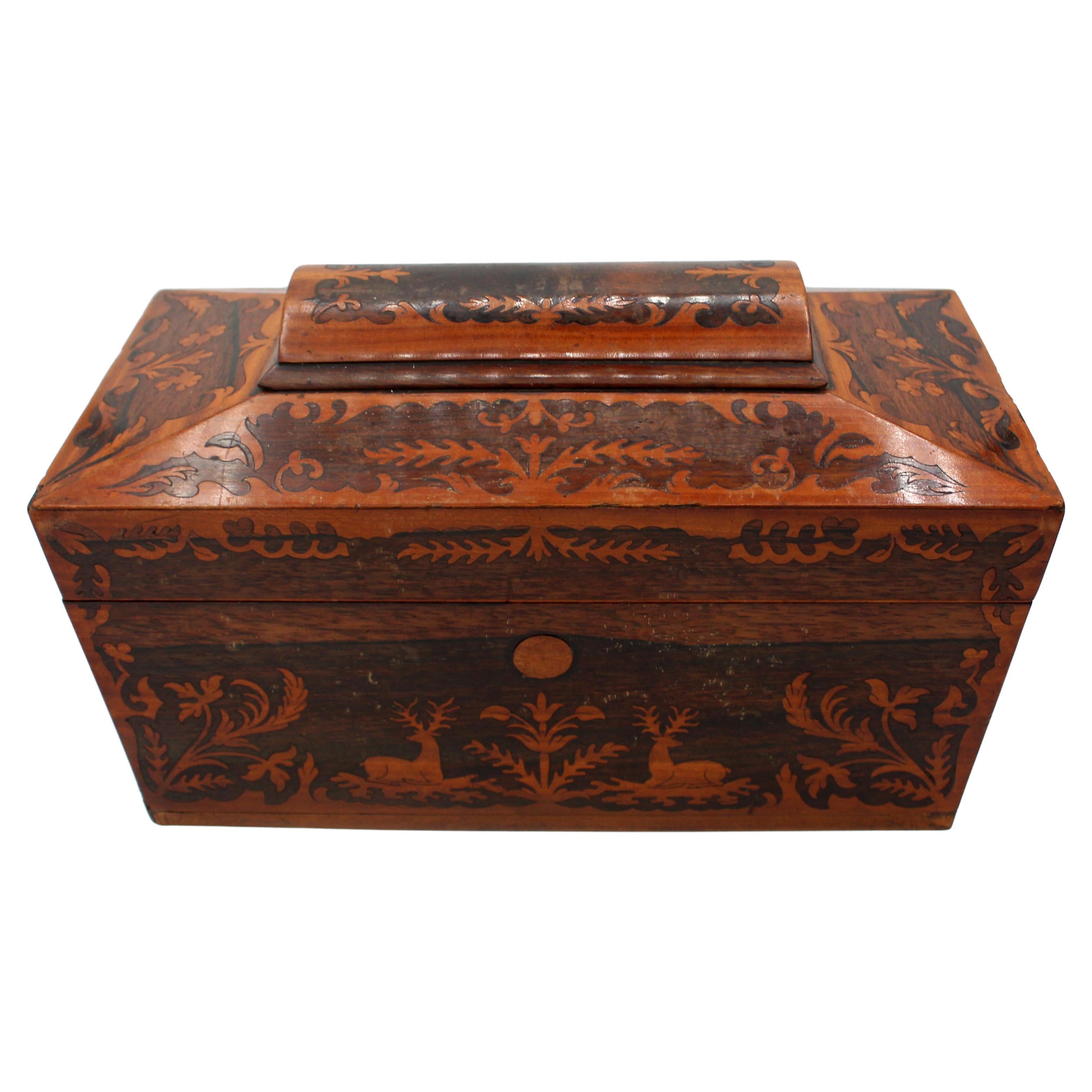 Circa 1830 English Stag & Naturalistic Box