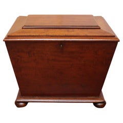 Antique Circa 1835-60 English William IV Wine Cooler