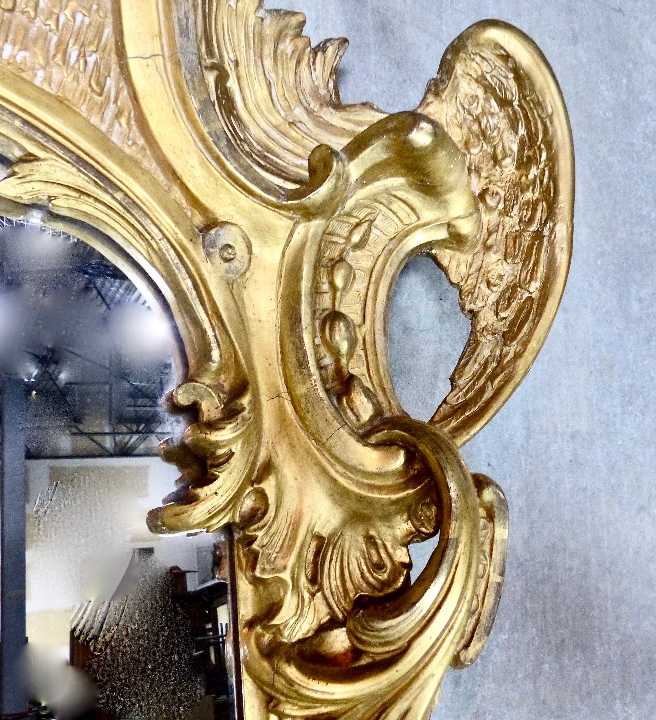 Louis XV Spectacular French Water Gilt Mirror with Accented Carved Angel Wings circa 1840