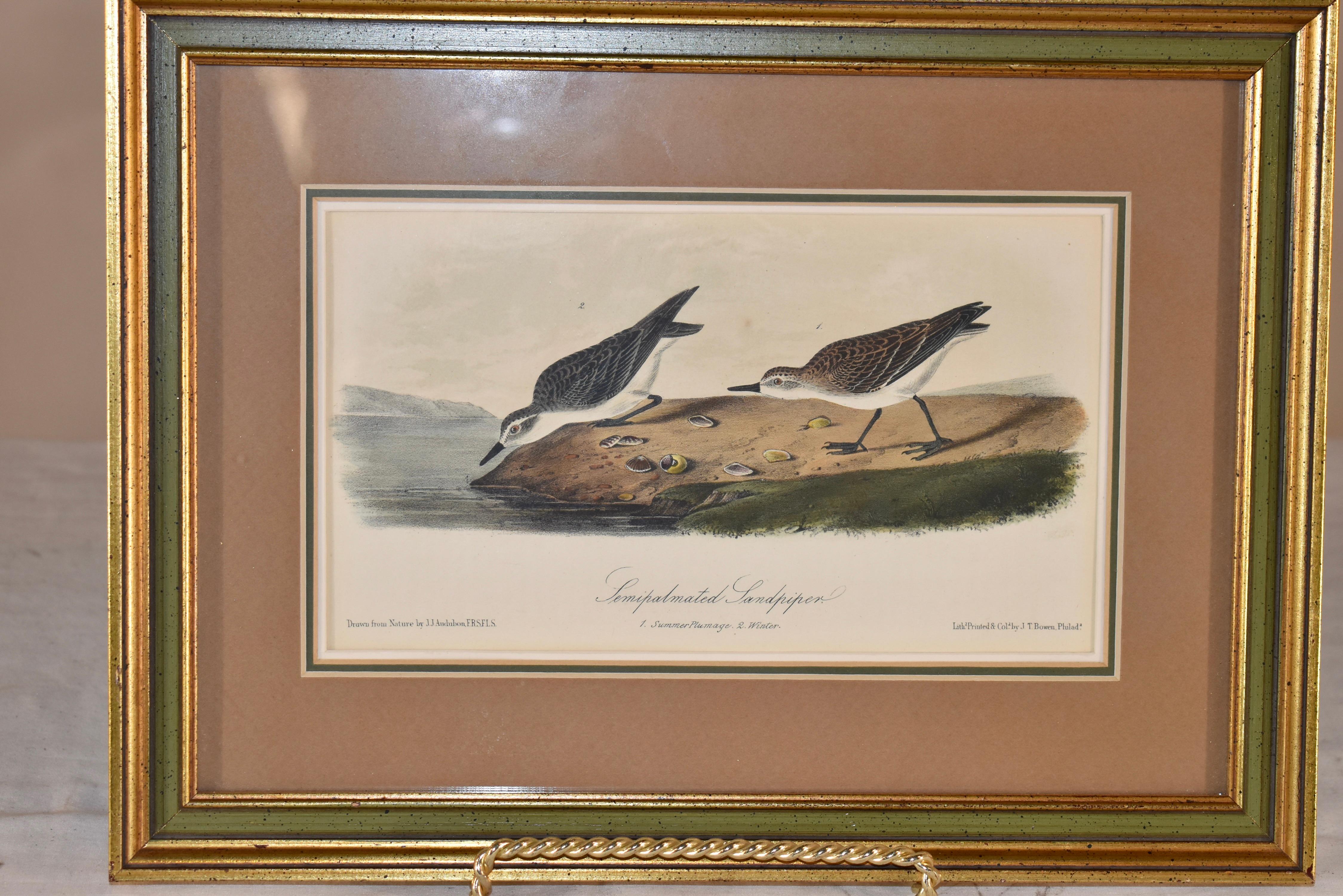 CIRCA 1845 handkolorierte und gerahmte Audubon-Lithographie, die einen Sandstrandläufer darstellt.  Die Lithografie wurde in Philadelphia von J. T. Bowen hergestellt.  Er wurde 1801 in England geboren und war als der beste Lithograf in Philadelphia