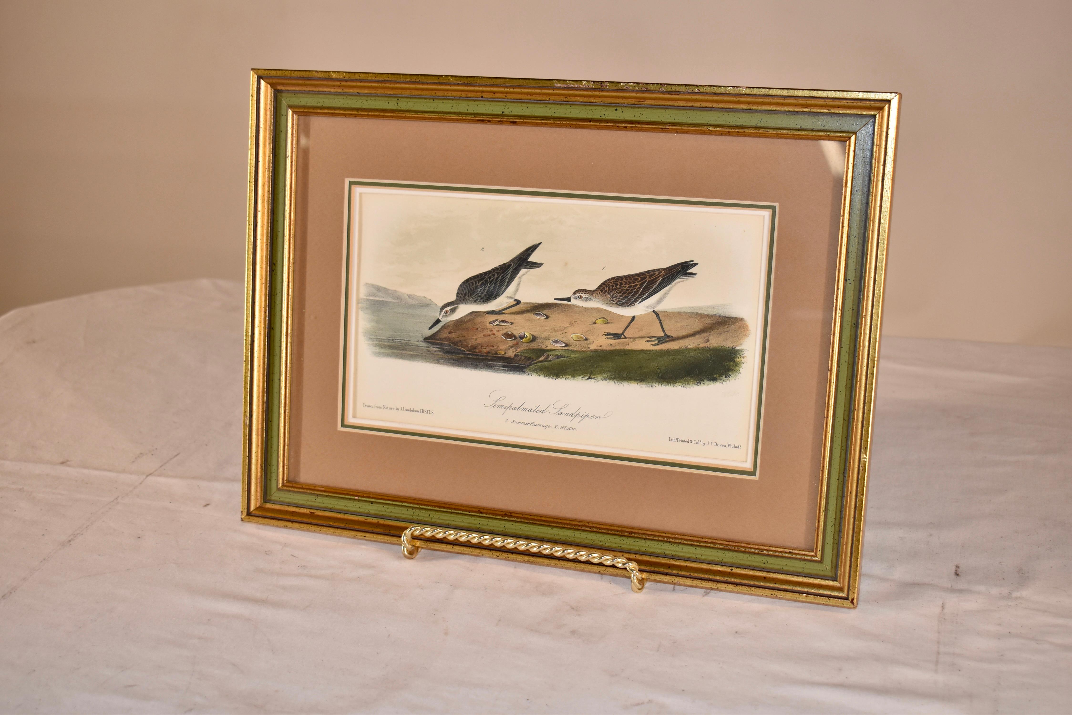 Gerahmte, handkolorierte Audubon-Lithographie, um 1845 (amerikanisch) im Angebot