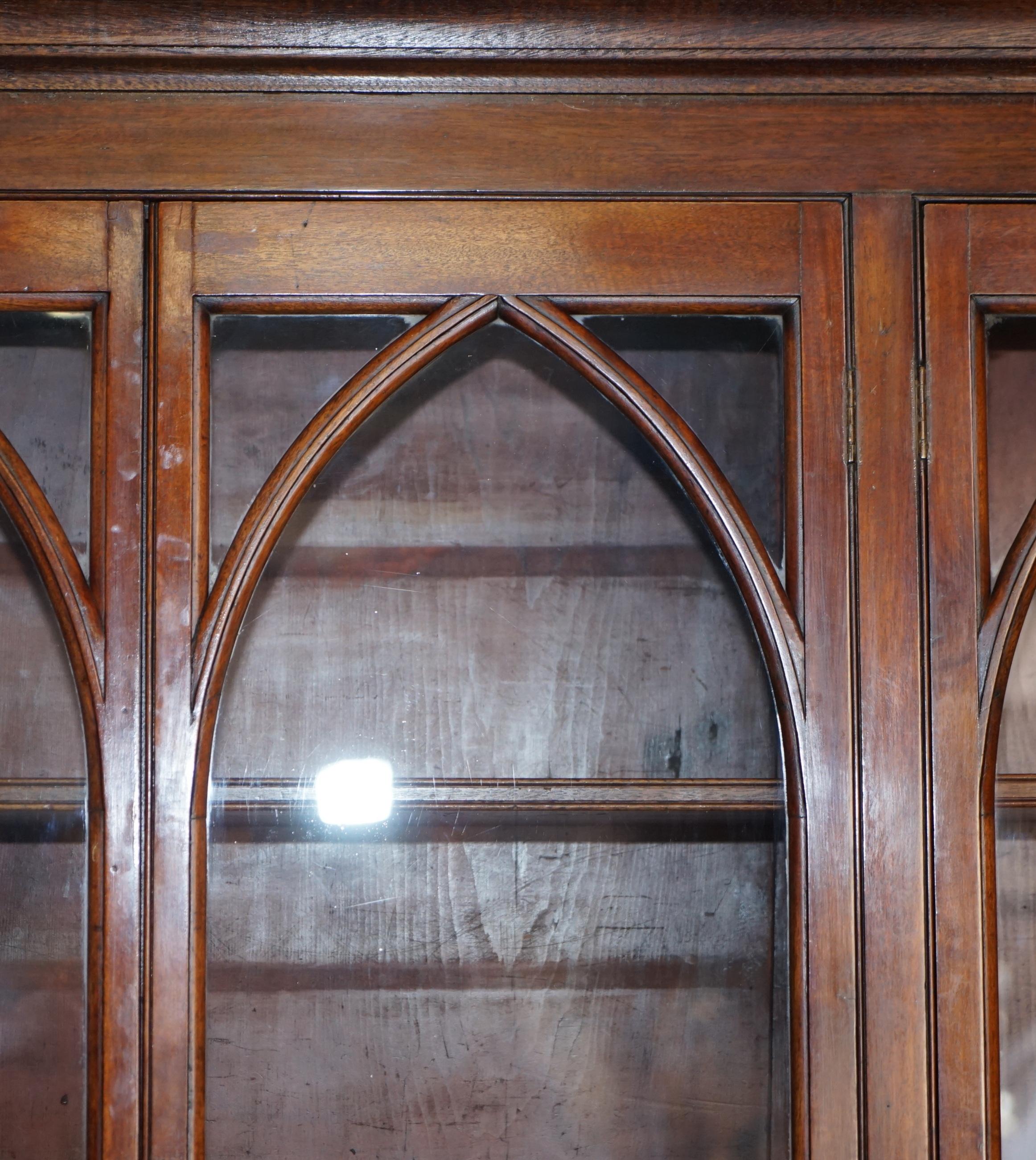 Hardwood circa 1850 Antique Victorian Gothic Revival Astral Water Glazed Library Bookcase