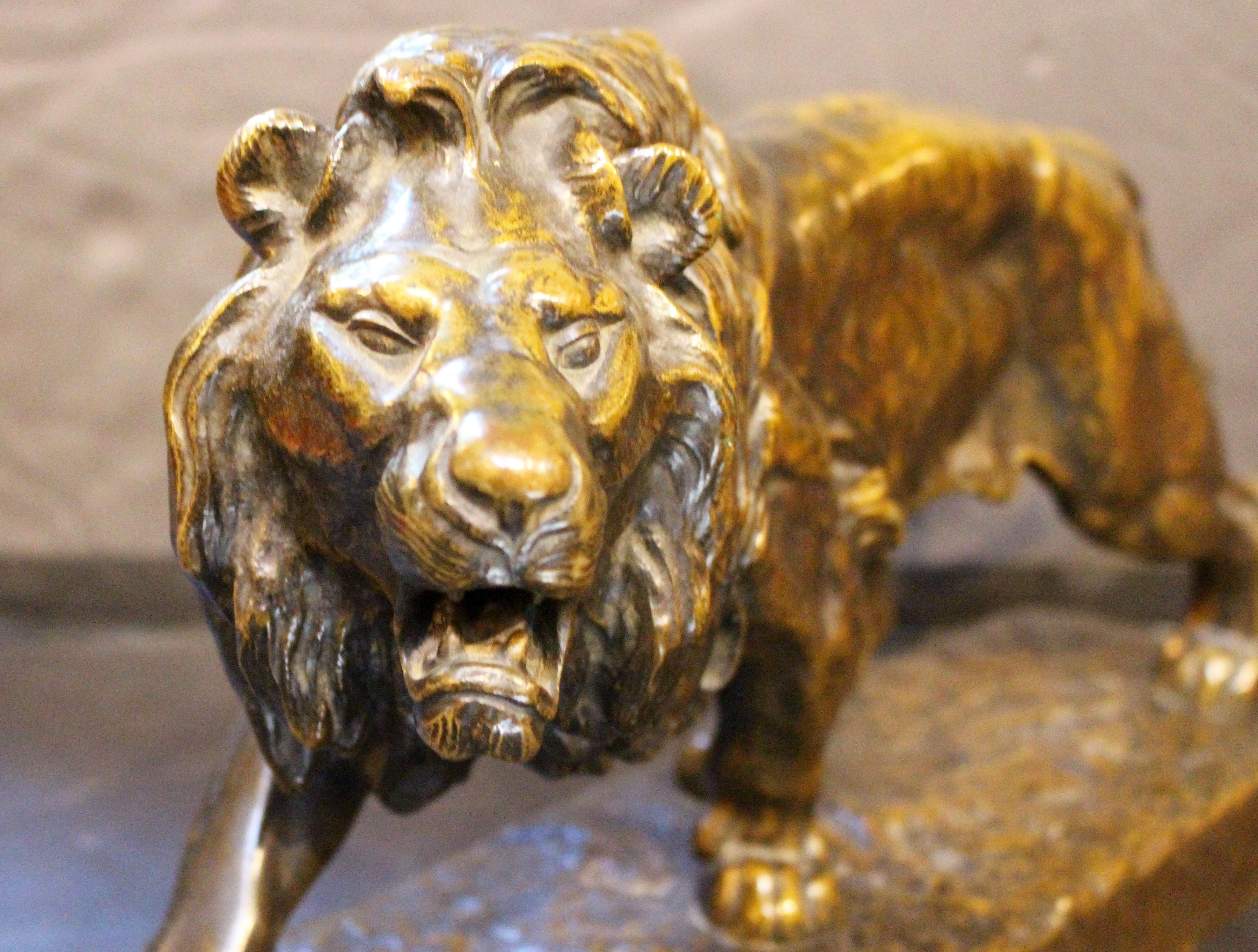 Circa 1855-1890 bronce animalier de Louis Vidal de un león al acecho, francés. Louis Vidal, 1831-1892, nació en Nimes y murió en París. Alumno de Bayre & Rouillard, expuso en el Salón de 1859 a 1892. Ciego de nacimiento, Nimes le concedió una