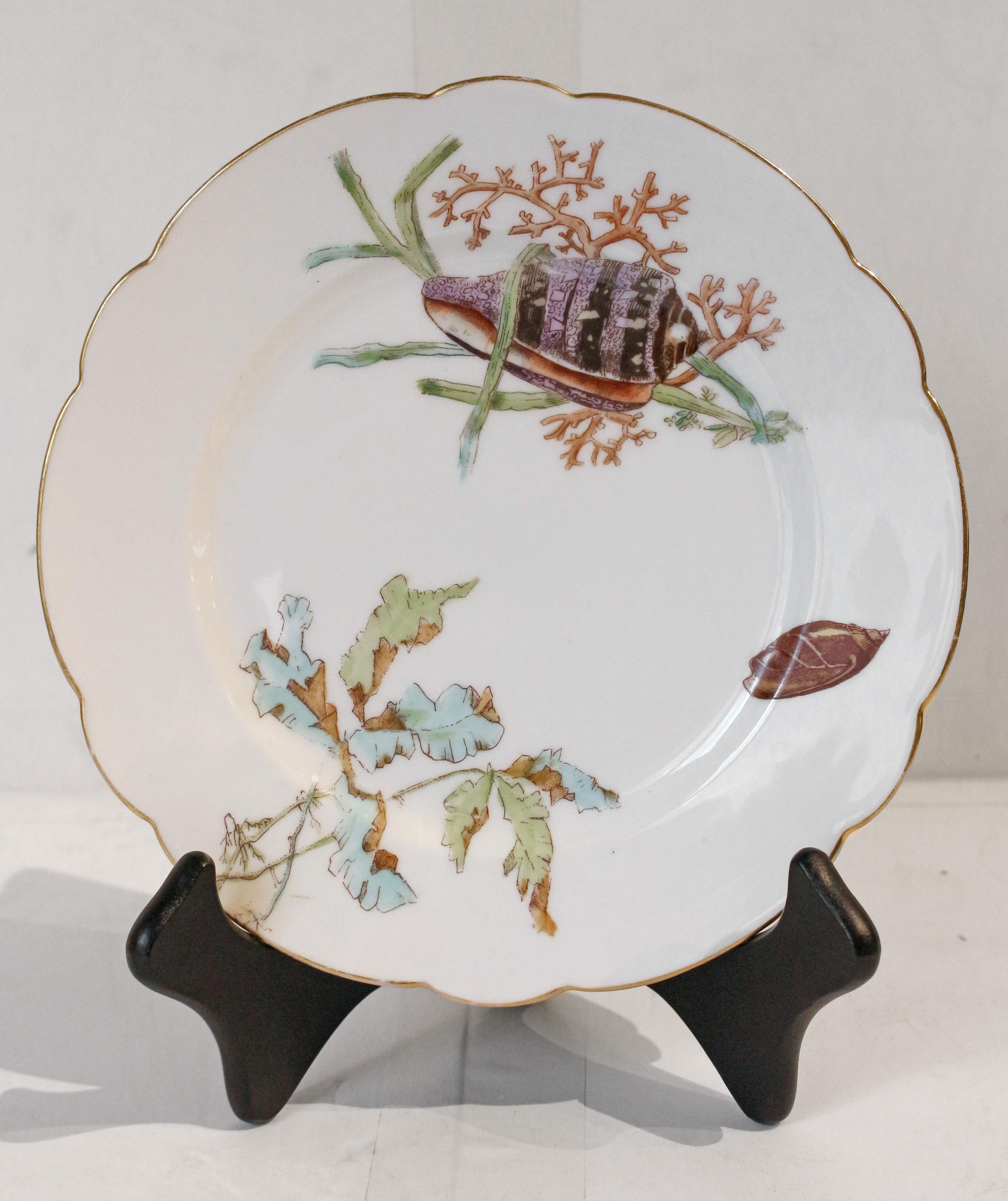 Aesthetic Movement Circa 1880-1900 Seashells & Seaweed Motif Fish Service by Limoges For Sale