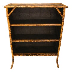 Circa 1880 English Bamboo Bookcase