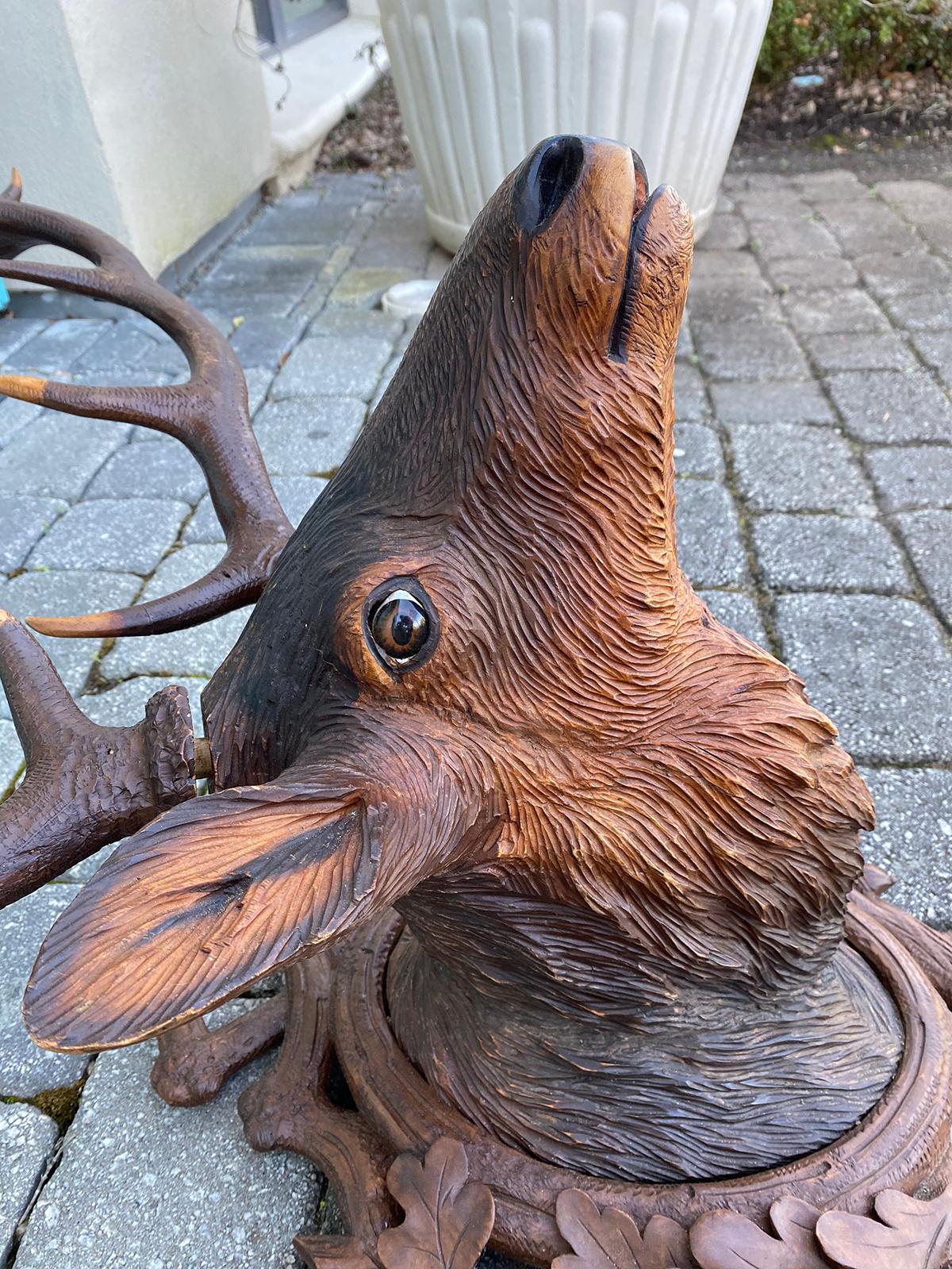 Carved Black Forest Stag Head, circa 1880s 7