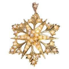 Antique Circa 1880s Early Australian 15 Carat Gold Seed Pearl Pendant with 9 Carat Chain
