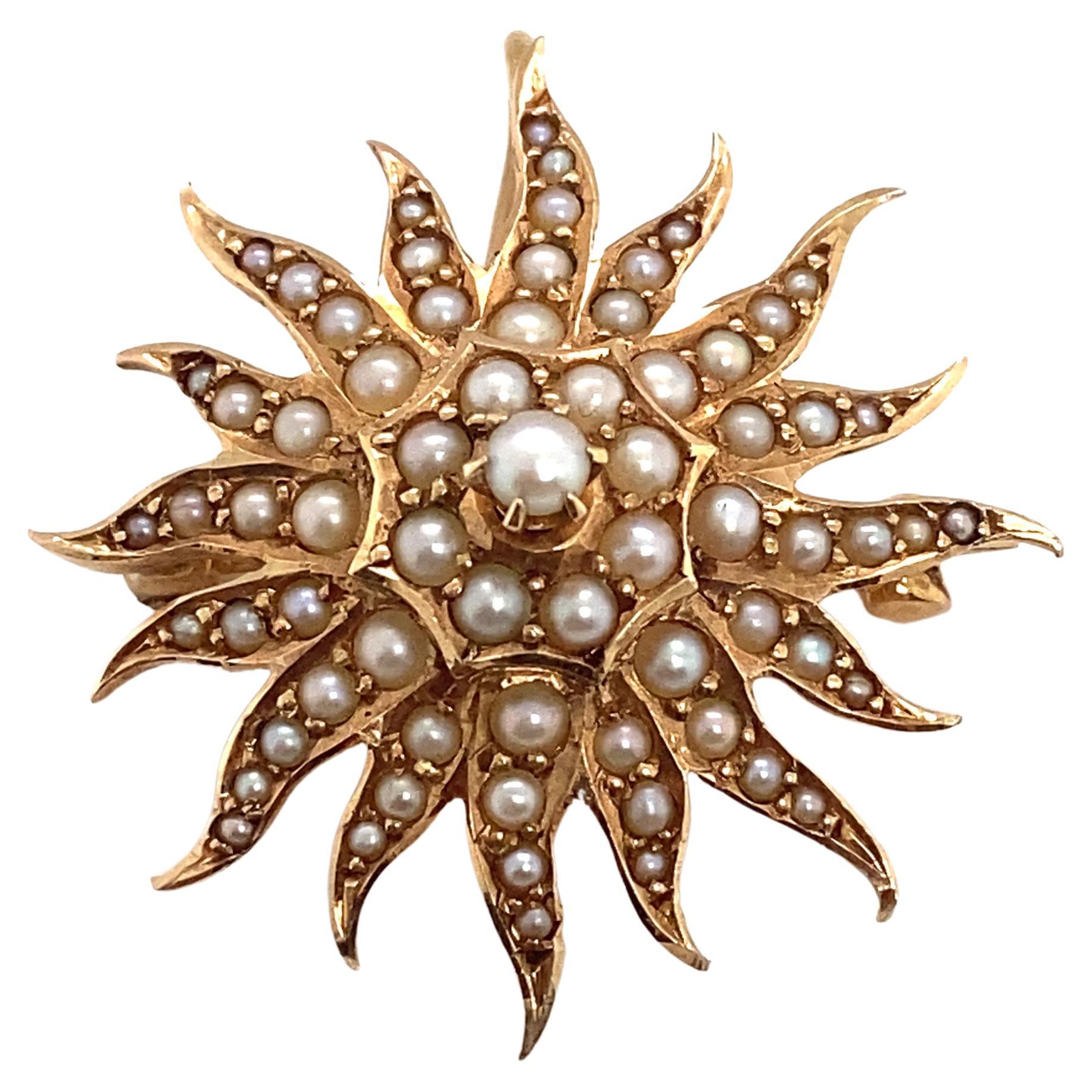 Circa 1890s Birks London Canada Sunburst Seed Pearl Brooch in 15 Karat Gold en vente