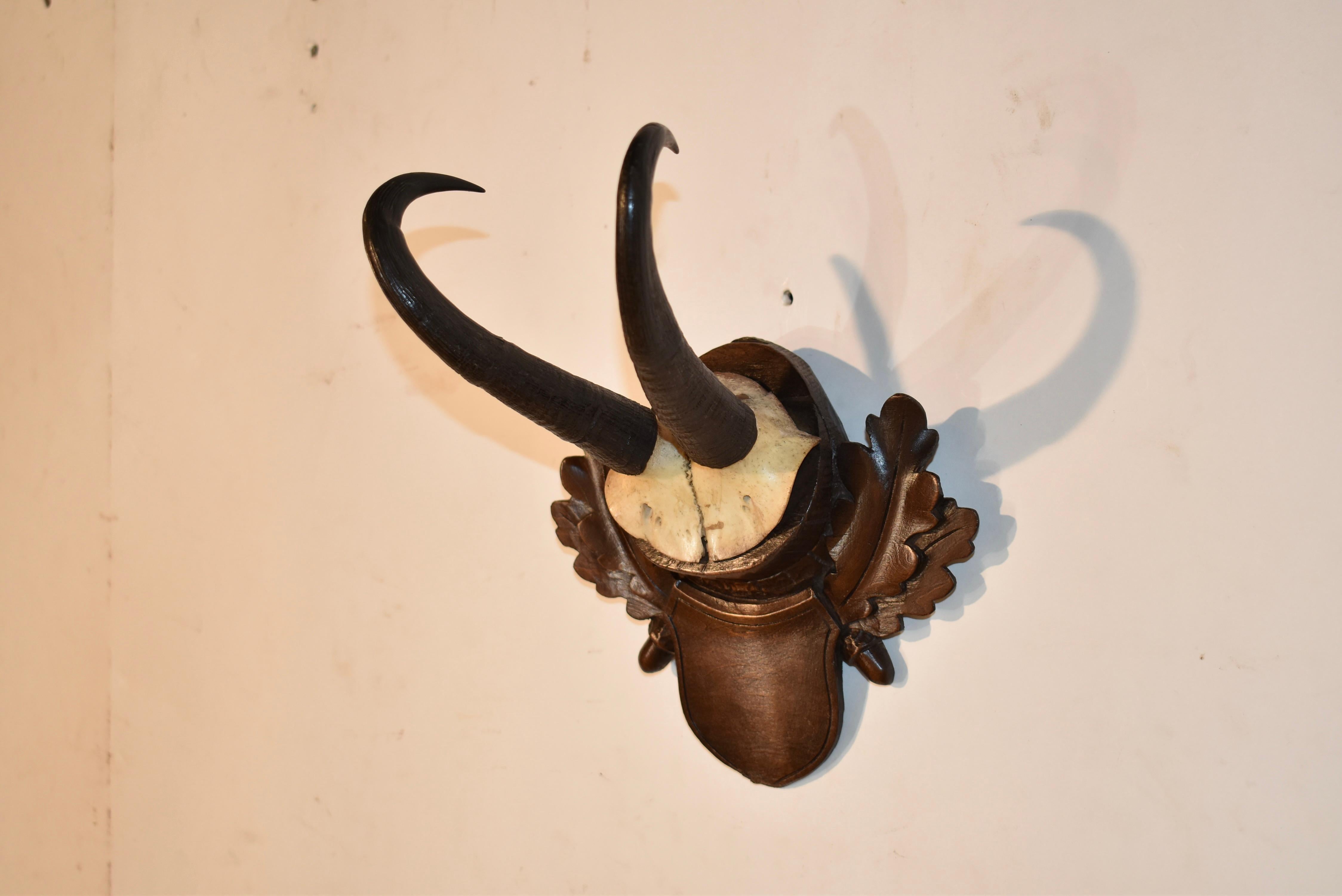 Circa 1900 Black Forest Placa de pared tallada Bosque negro