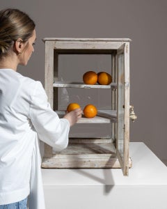 Circa 1900 Wood White Patinated Countertop Display Cabinet