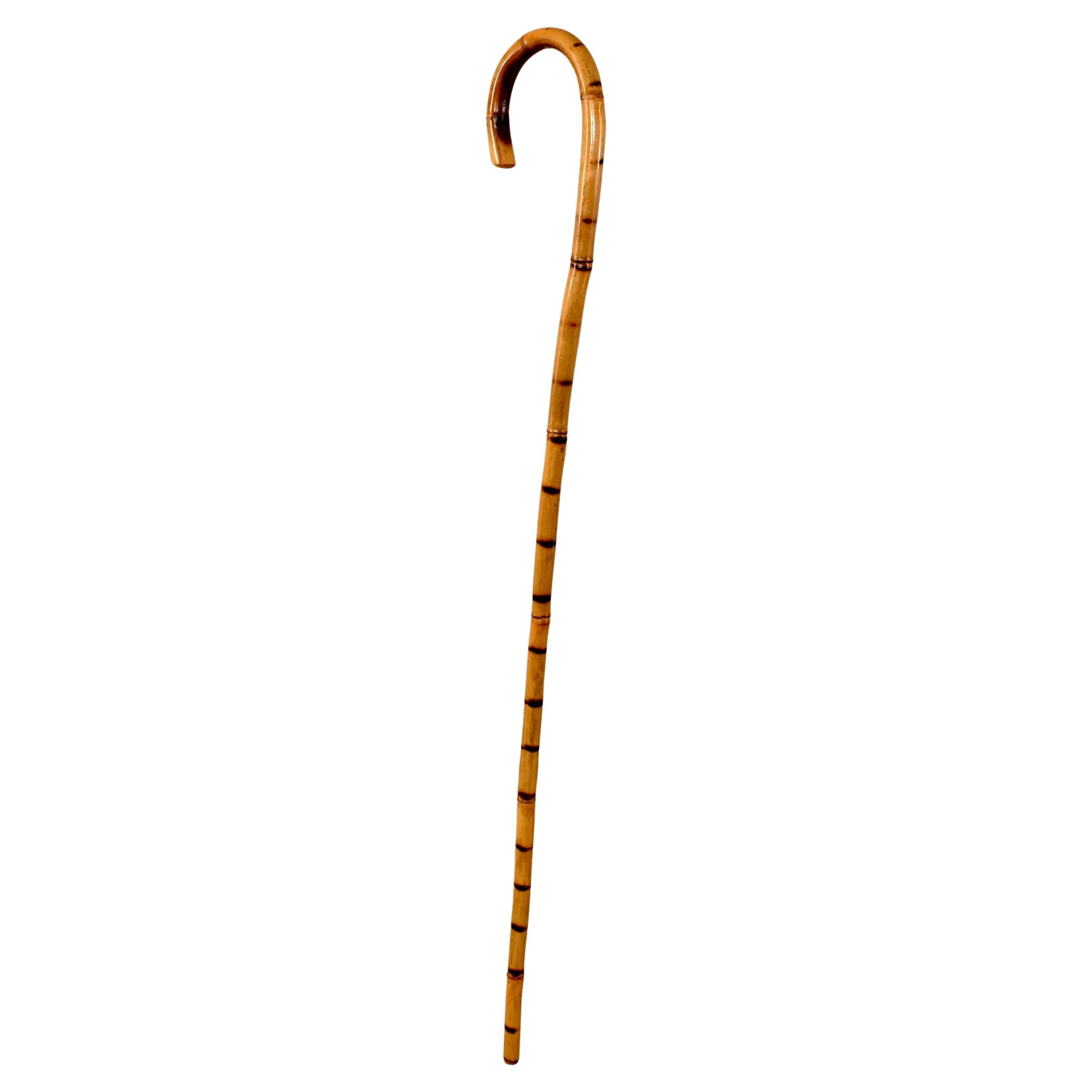Circa 1920 English Bamboo Walking Stick