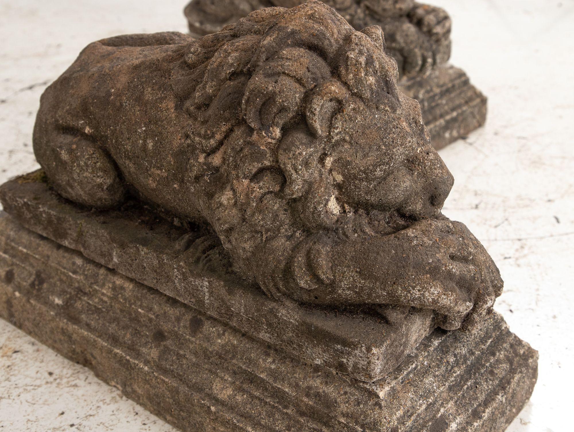 Circa 1920 English Pair of Large Recumbent Concrete Lions For Sale 1