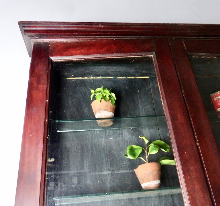 Narrow WallMounted Apothecary Display circa 1920 at 1stDibs