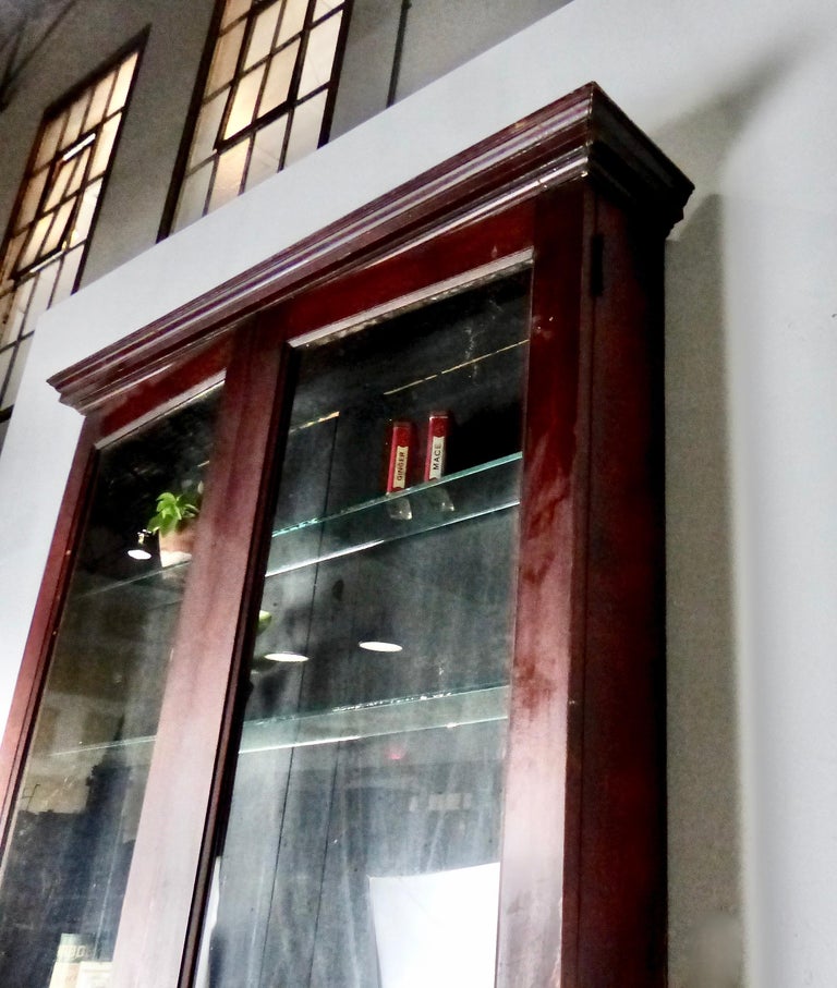 Narrow WallMounted Apothecary Display circa 1920 at 1stDibs