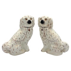 Coppia inglese di spaniel bianchi dello Staffordshire degli anni '20 circa