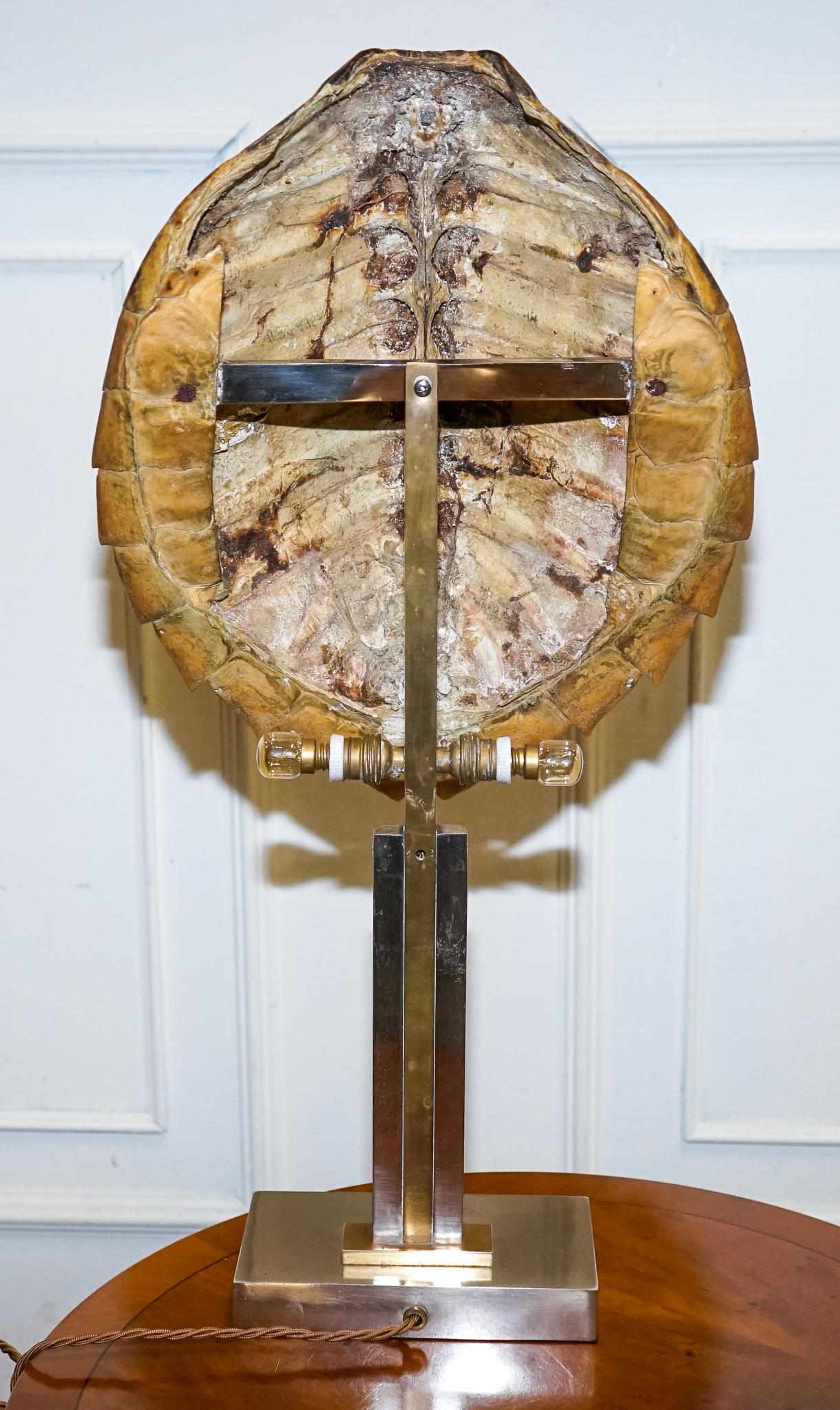 CIRCA 1960'S RARE TURTLE TORTOiSE TABLE LAMP ON ART DECO STYLE STAND en vente 4