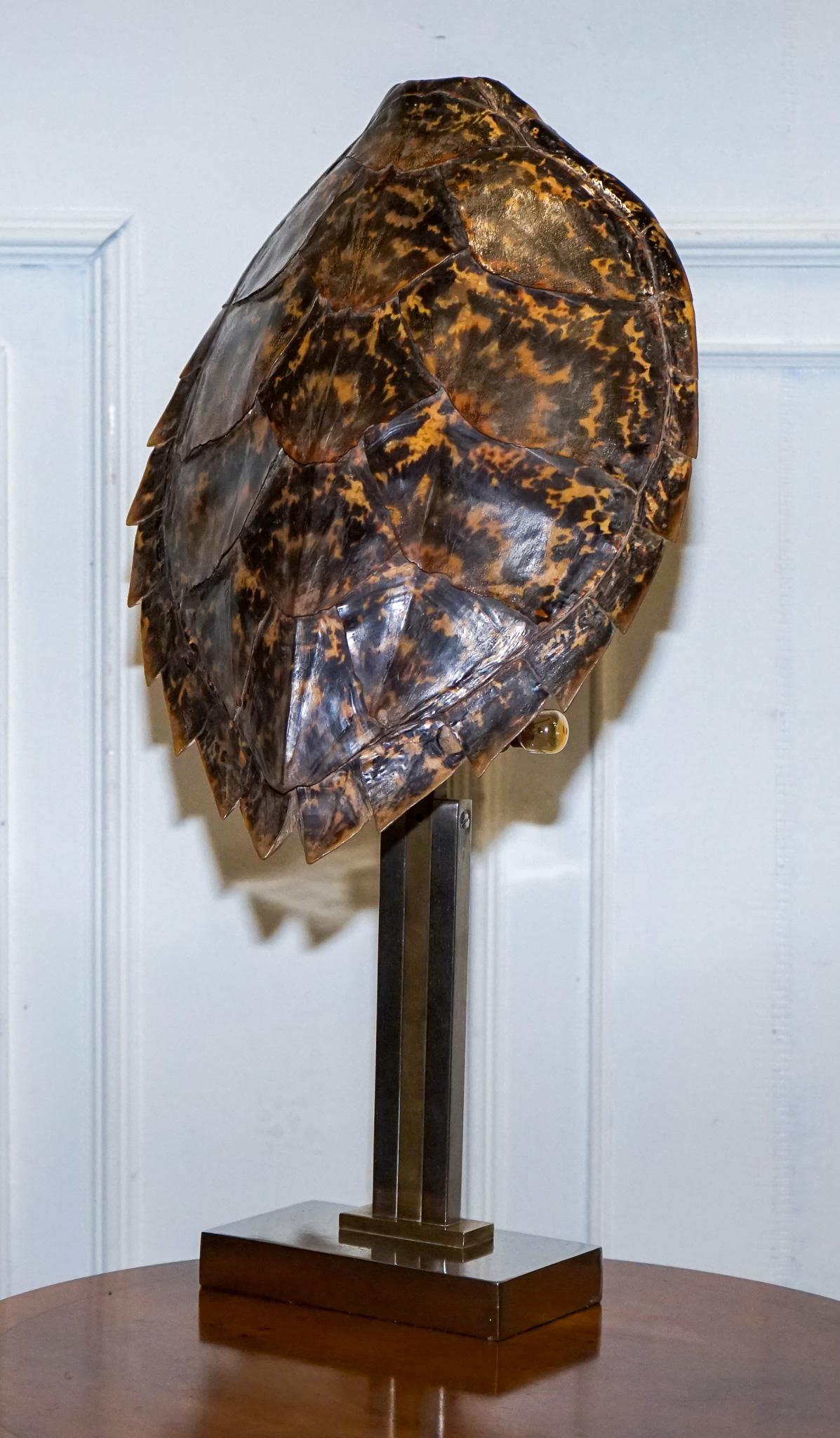 CIRCA 1960'S RARE TURTLE TORTOiSE TABLE LAMP ON ART DECO STYLE STAND en vente 9
