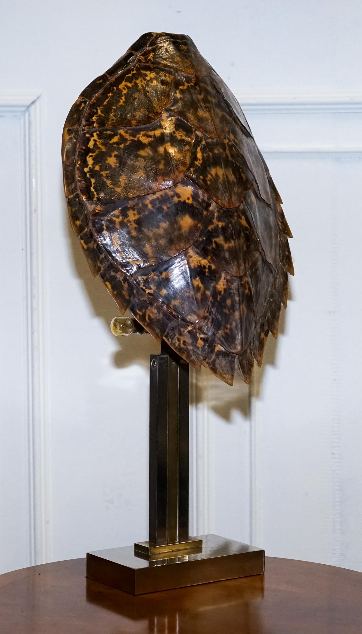 CIRCA 1960'S RARE TURTLE TORTOiSE TABLE LAMP ON ART DECO STYLE STAND en vente 10